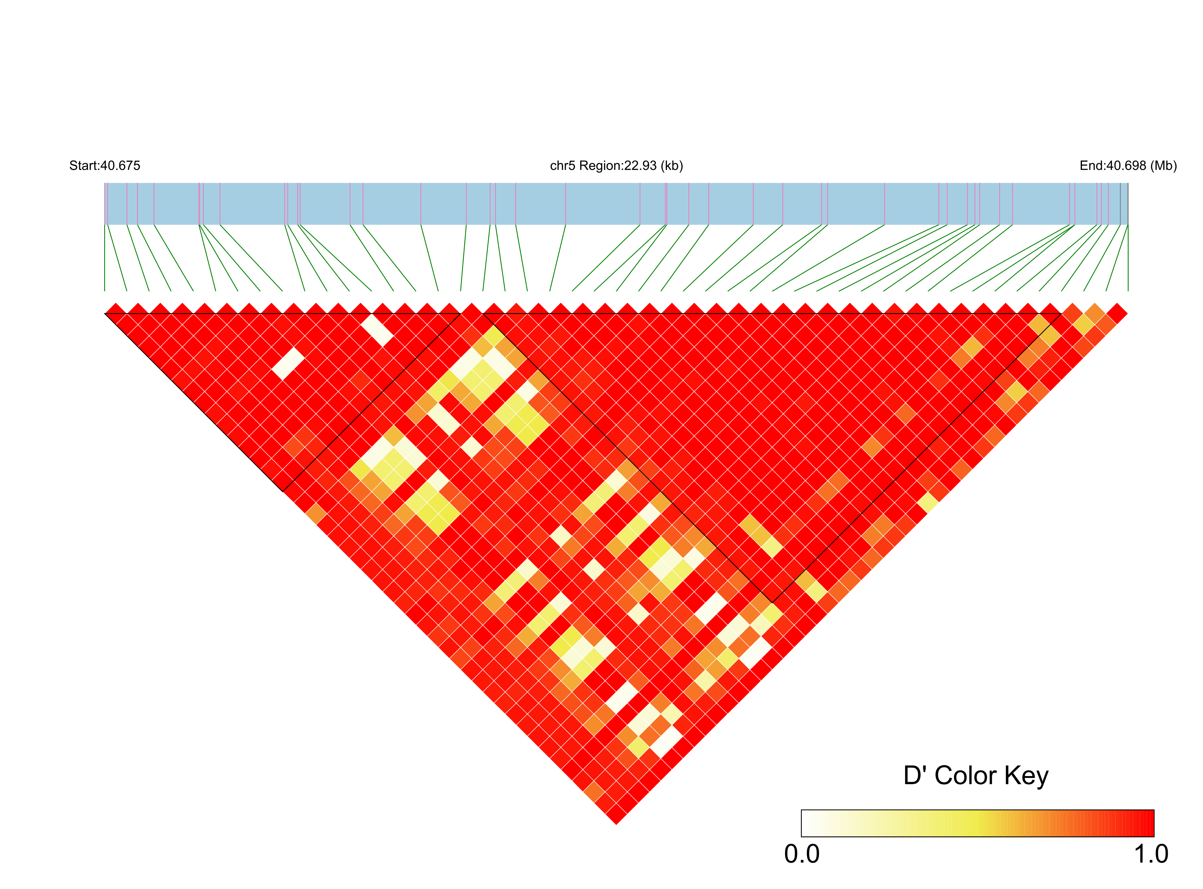 LD