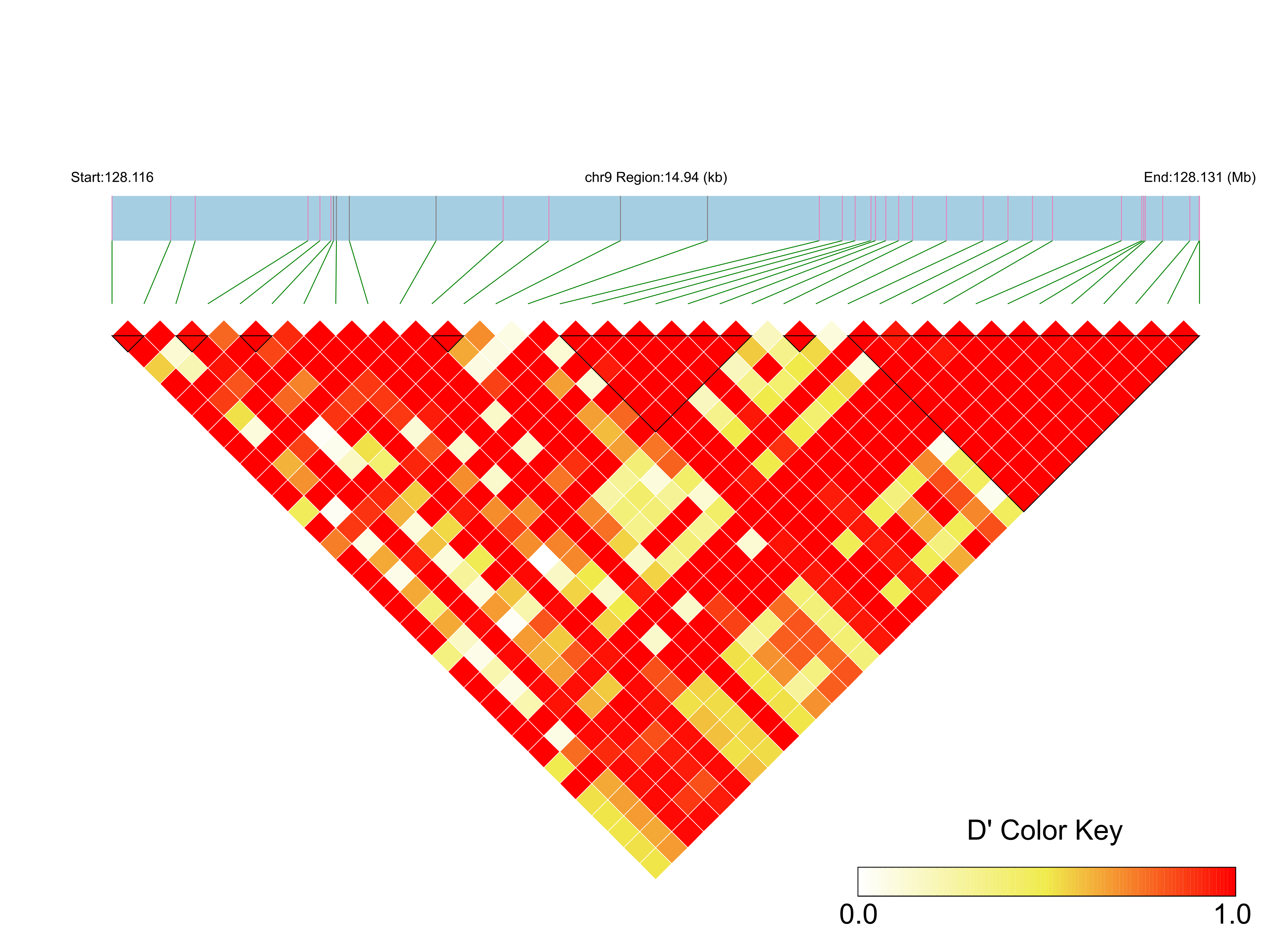 LD