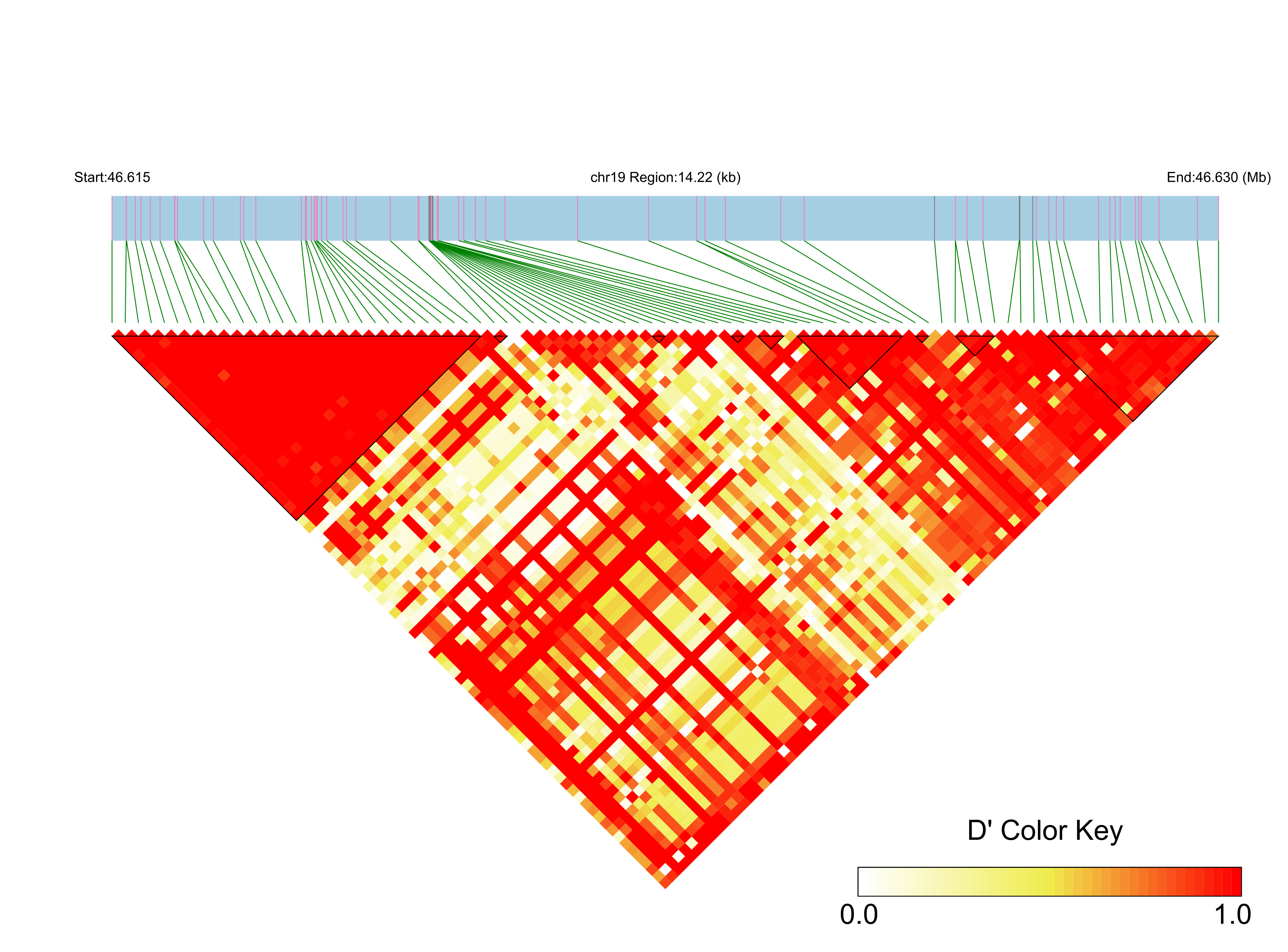 LD