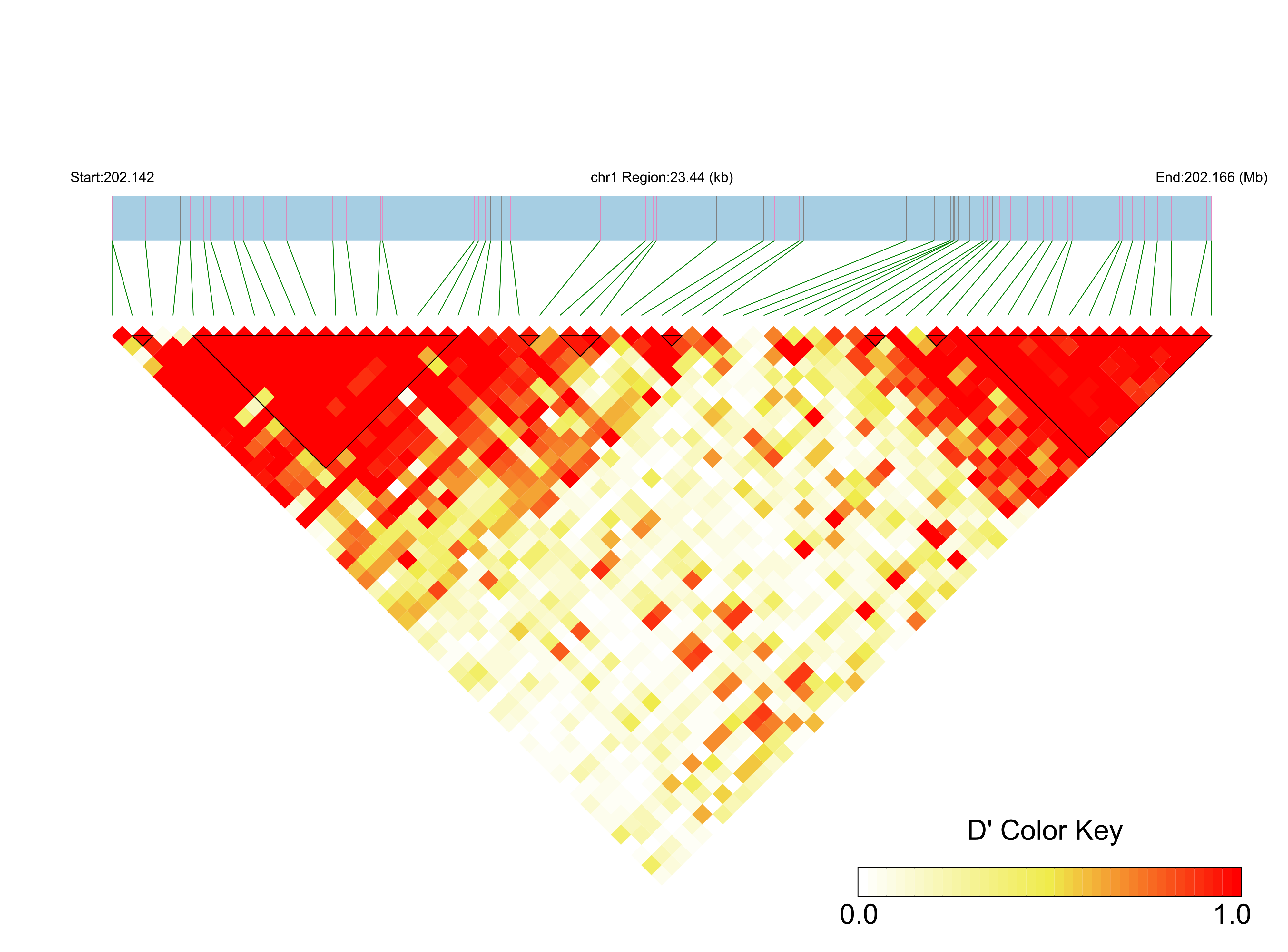 LD