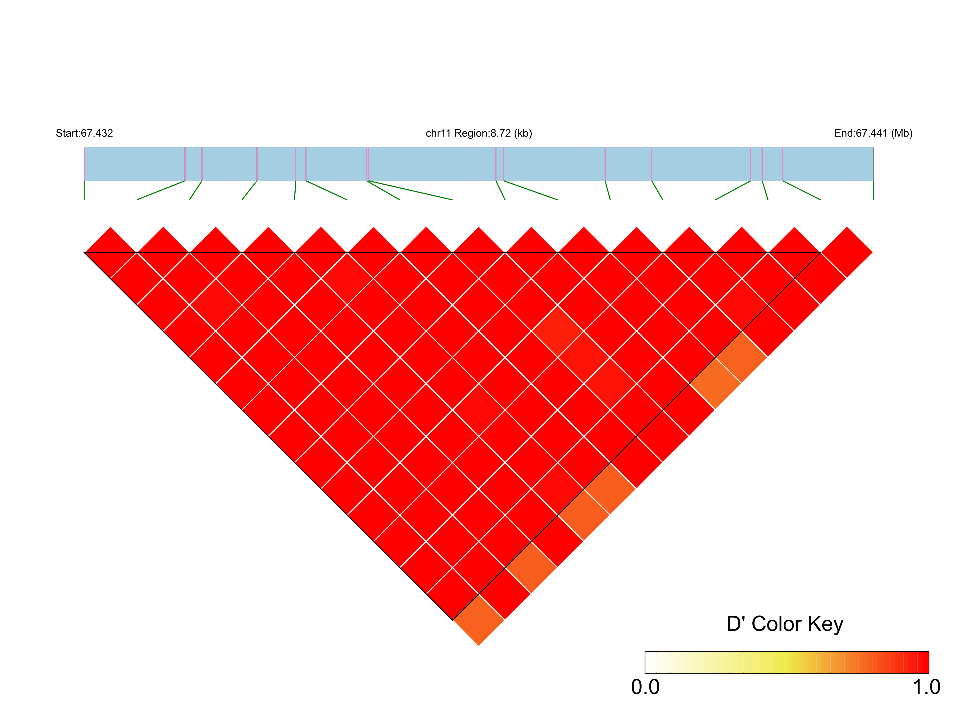 LD