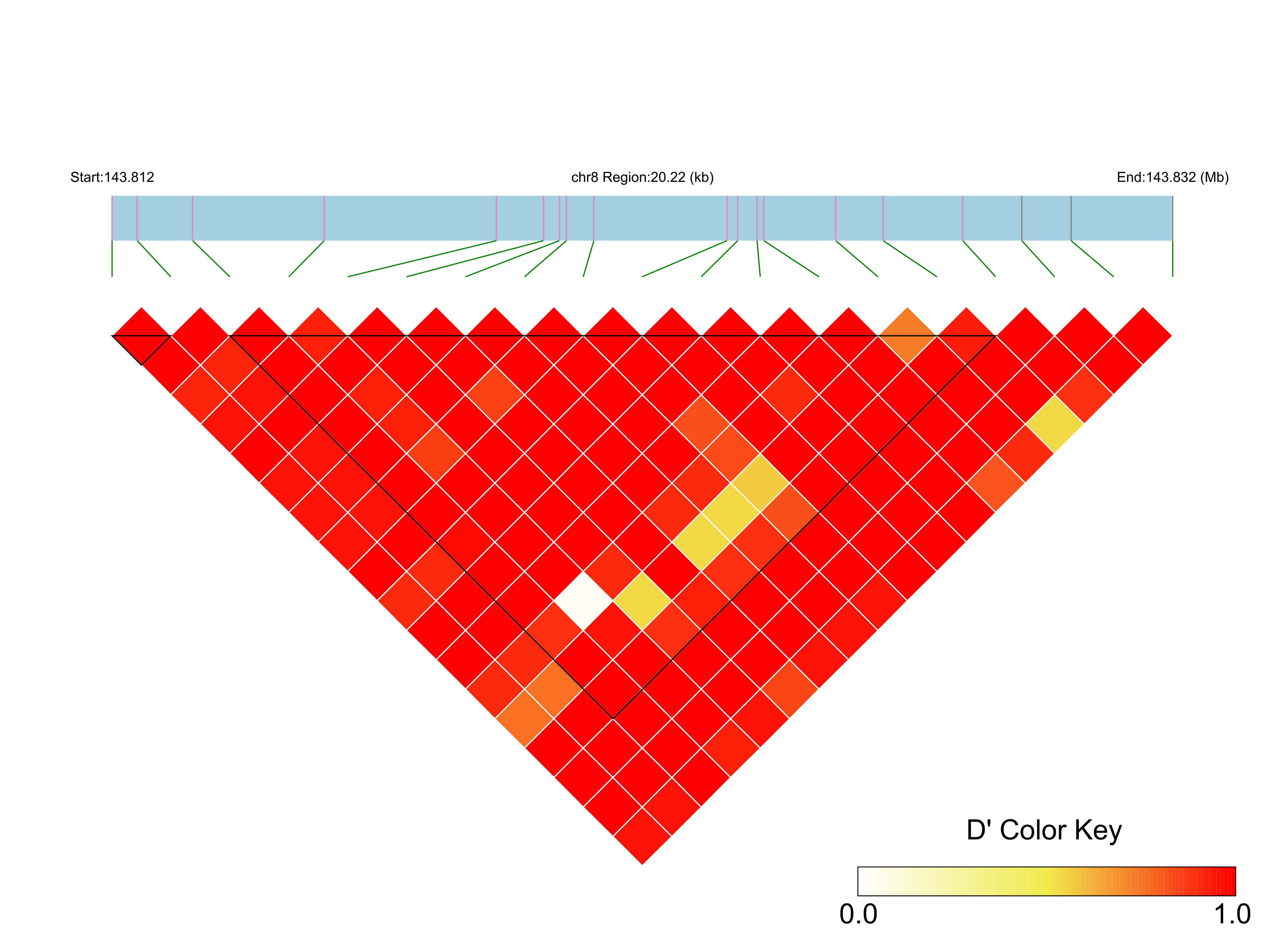 LD