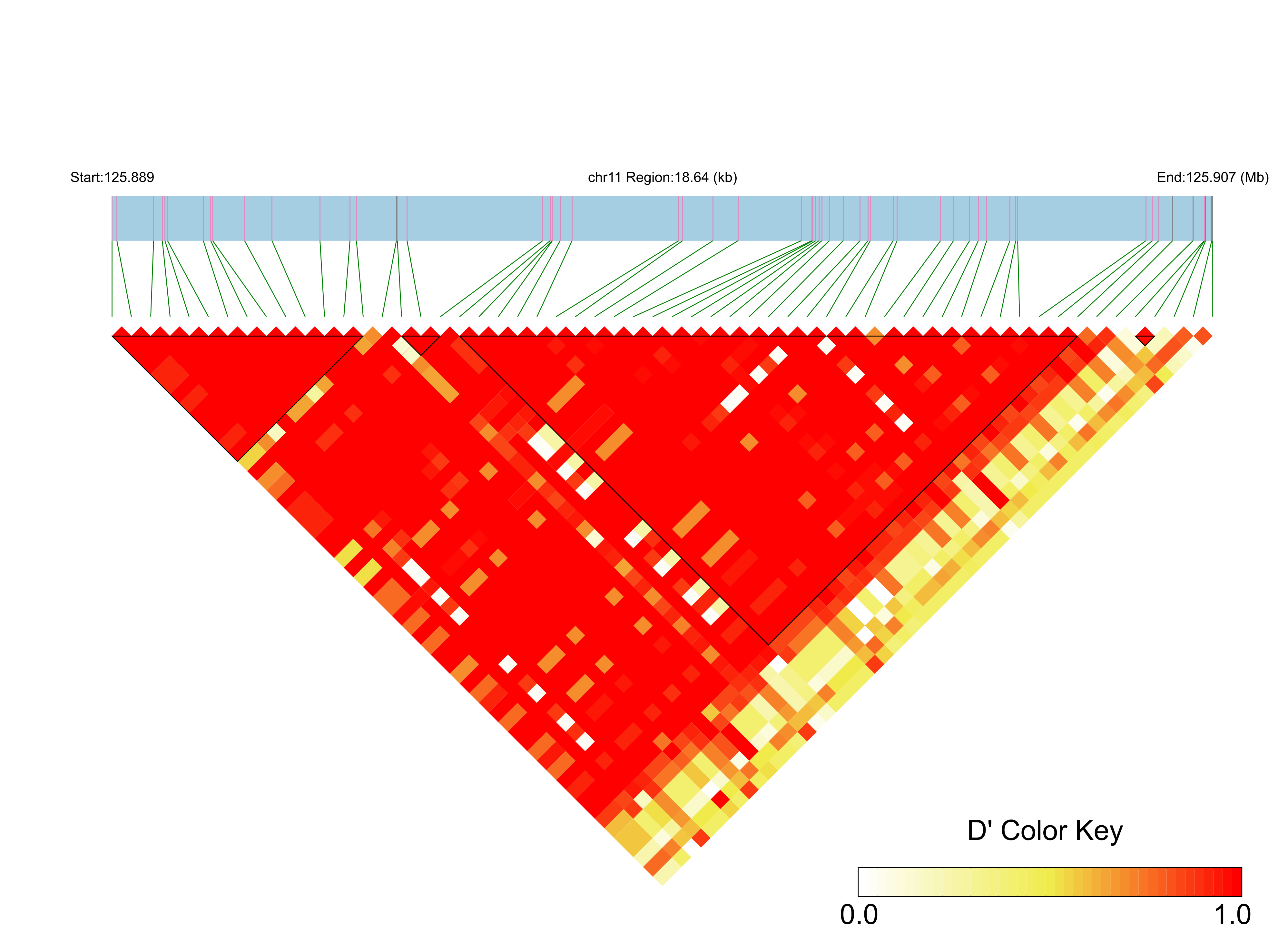 LD