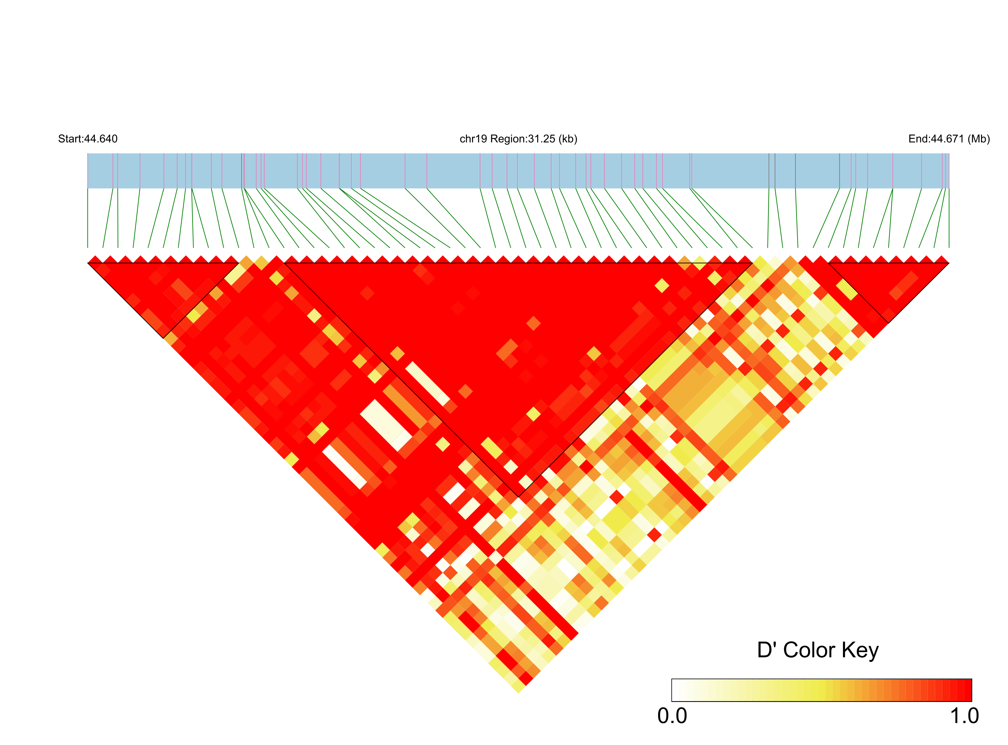 LD