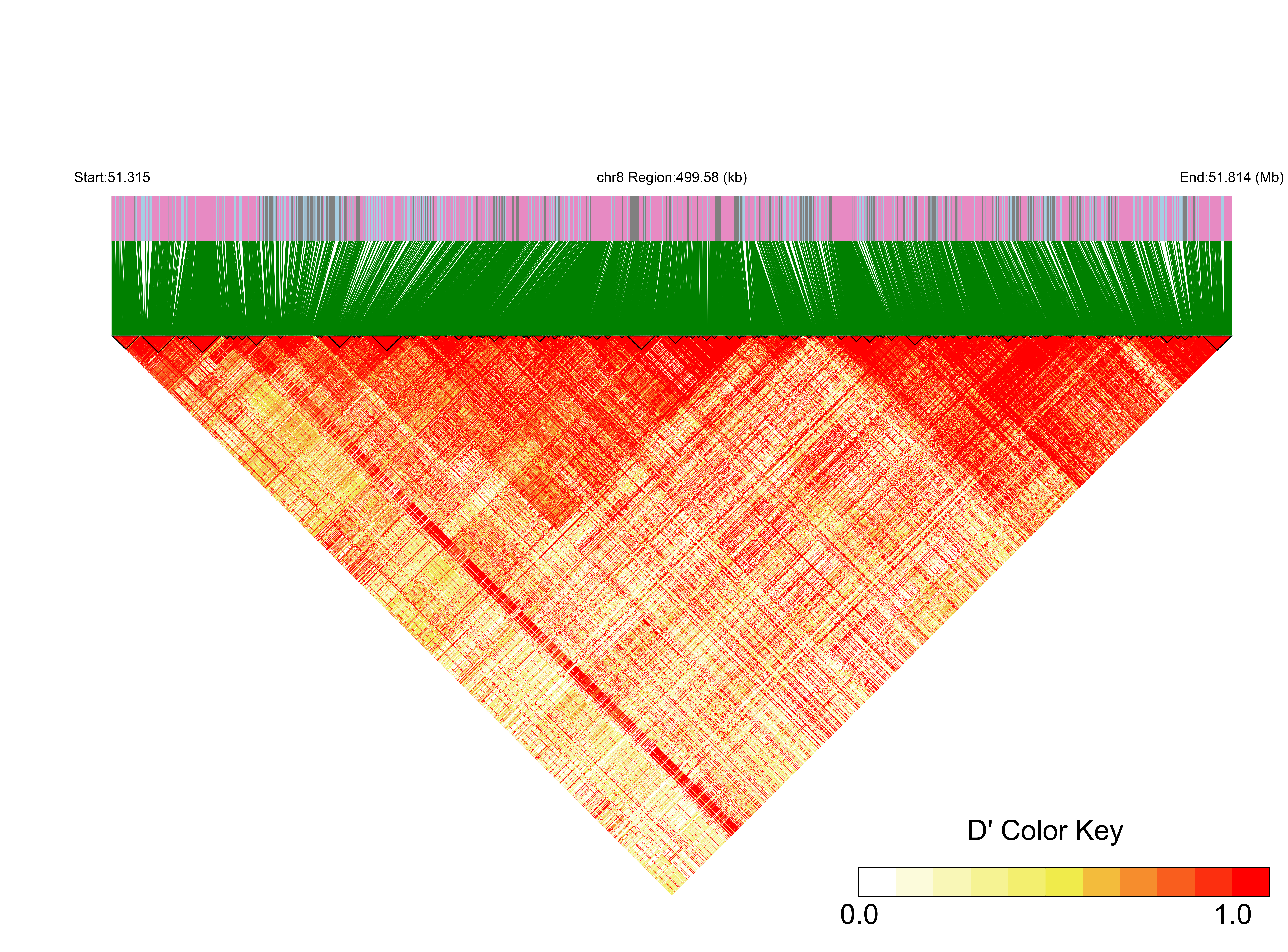 LD