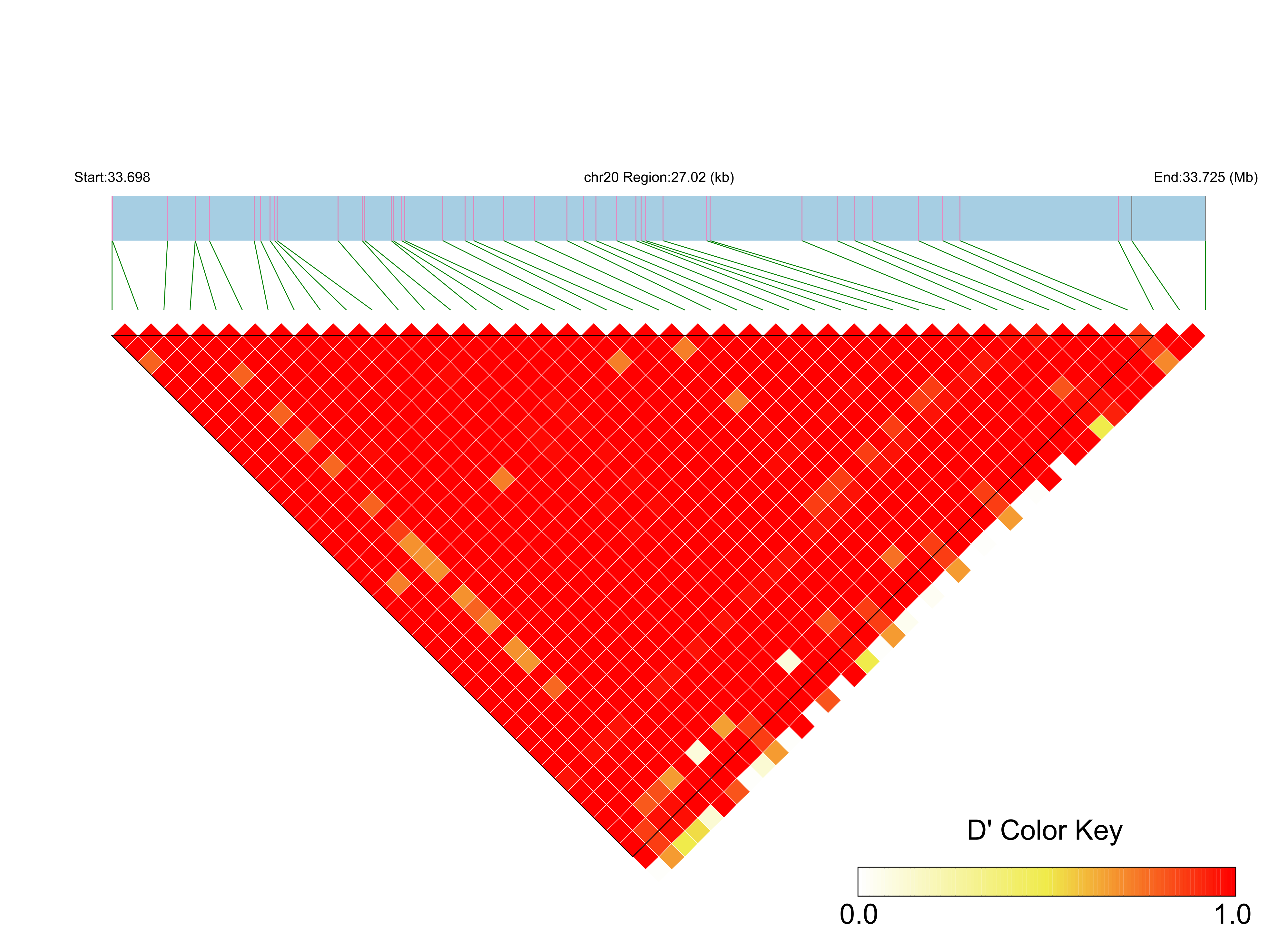 LD