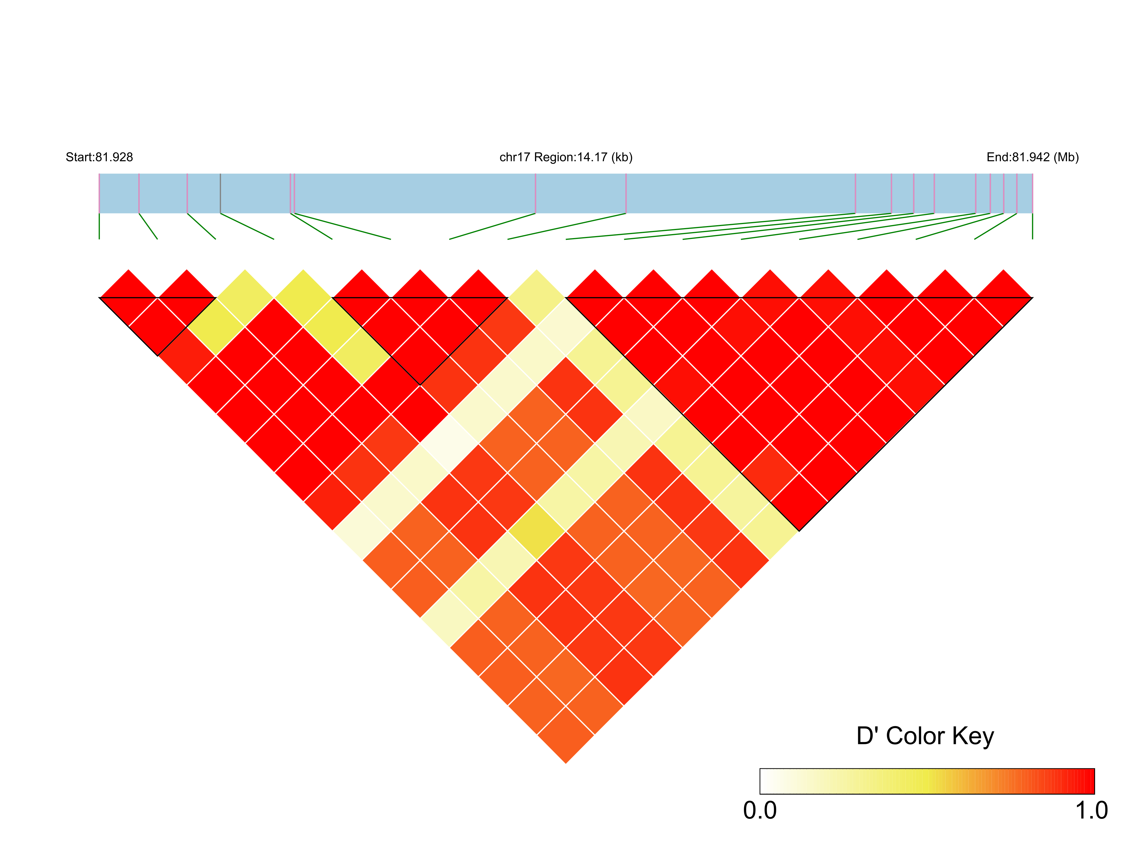 LD