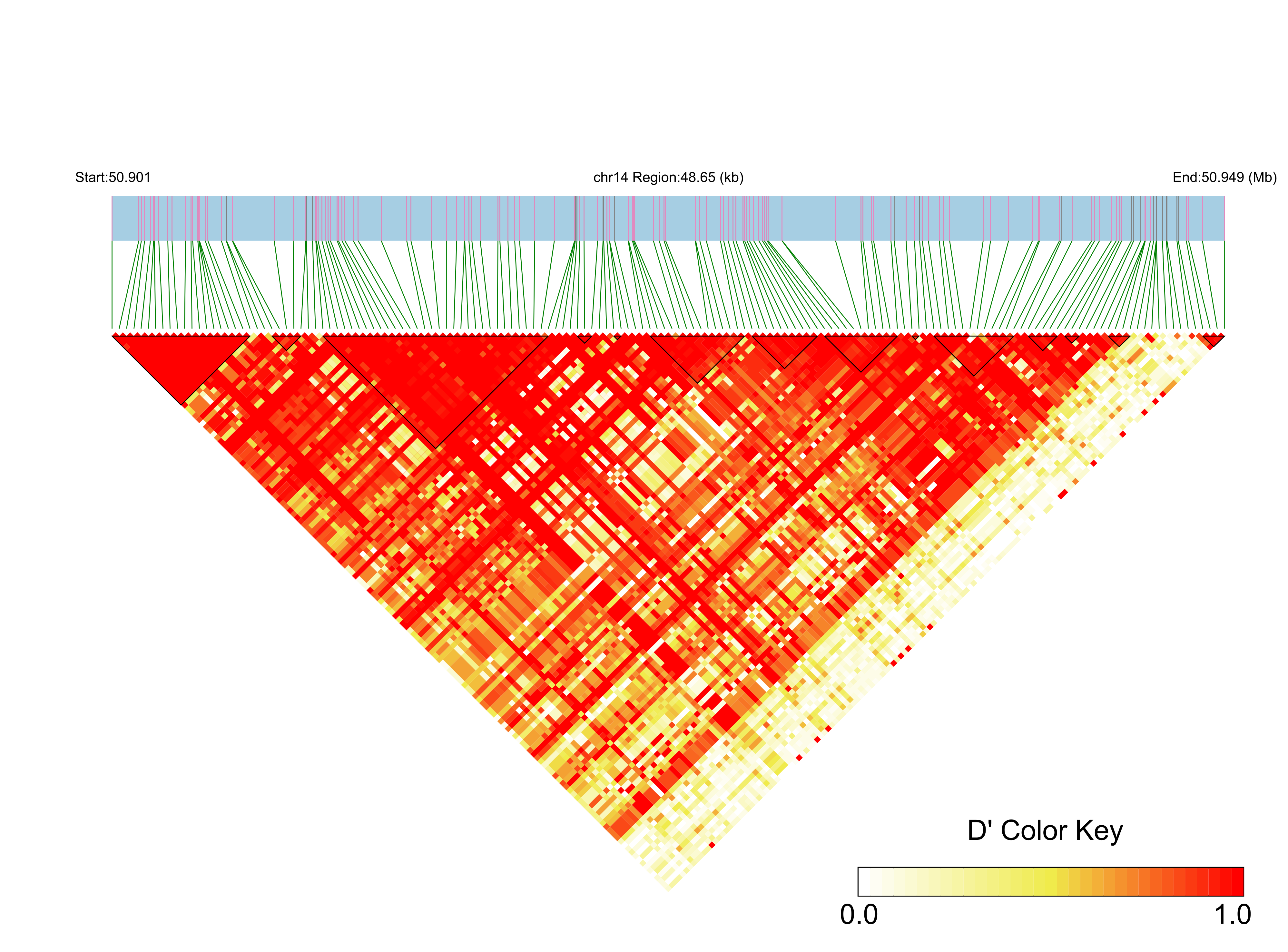 LD