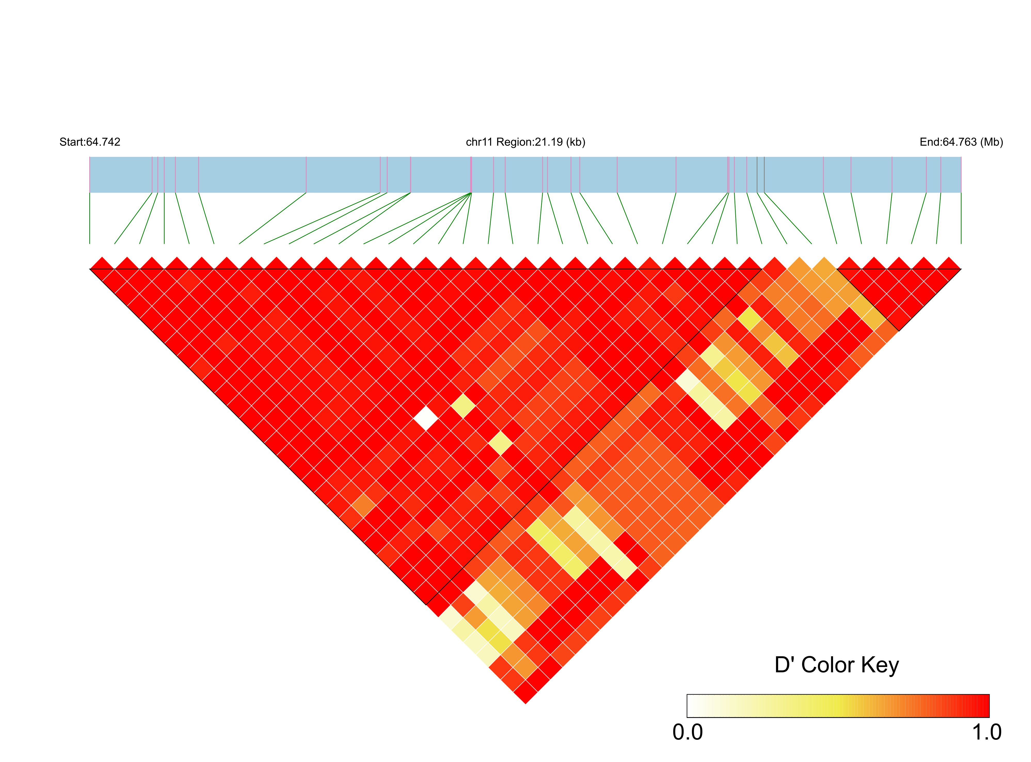 LD