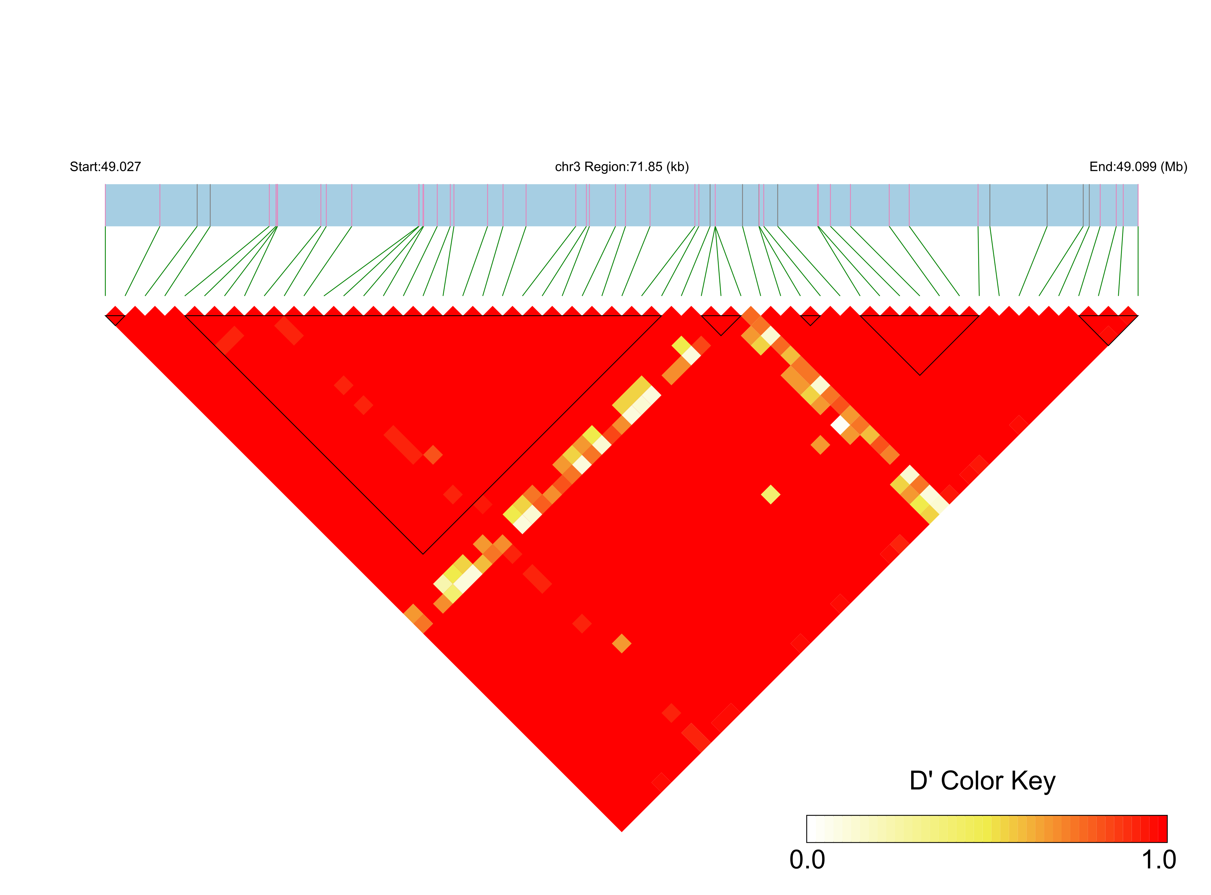 LD