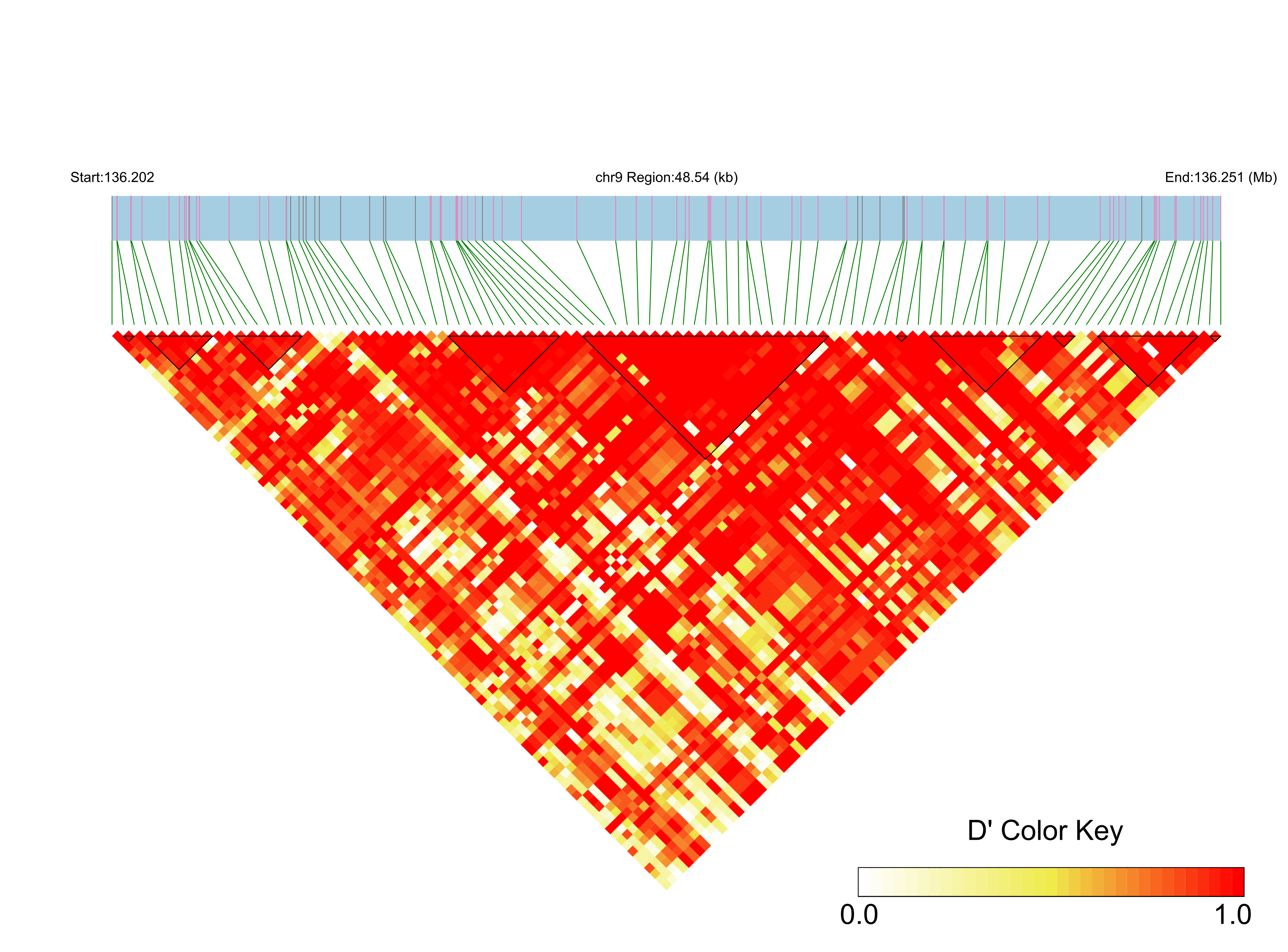 LD