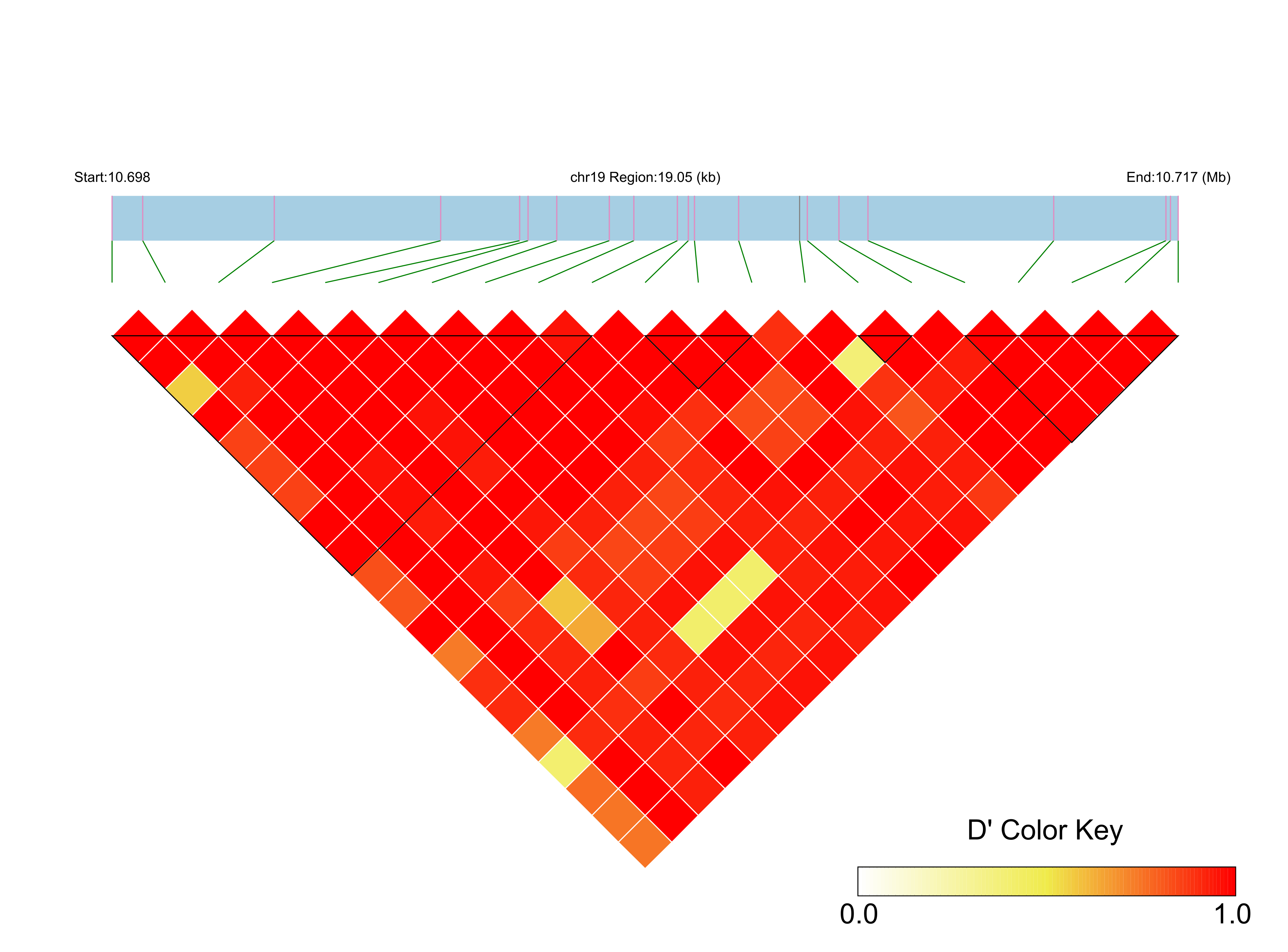 LD