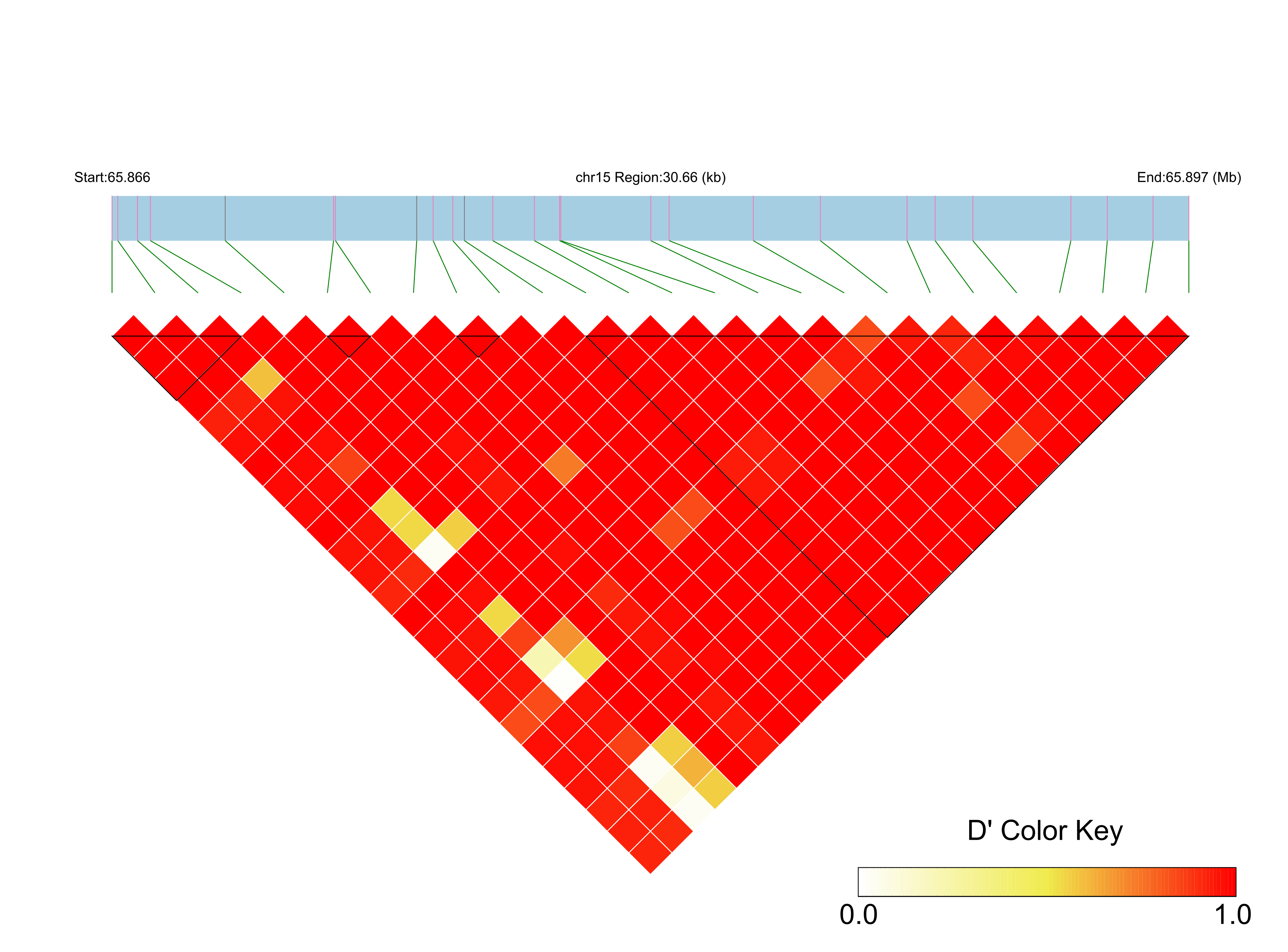 LD