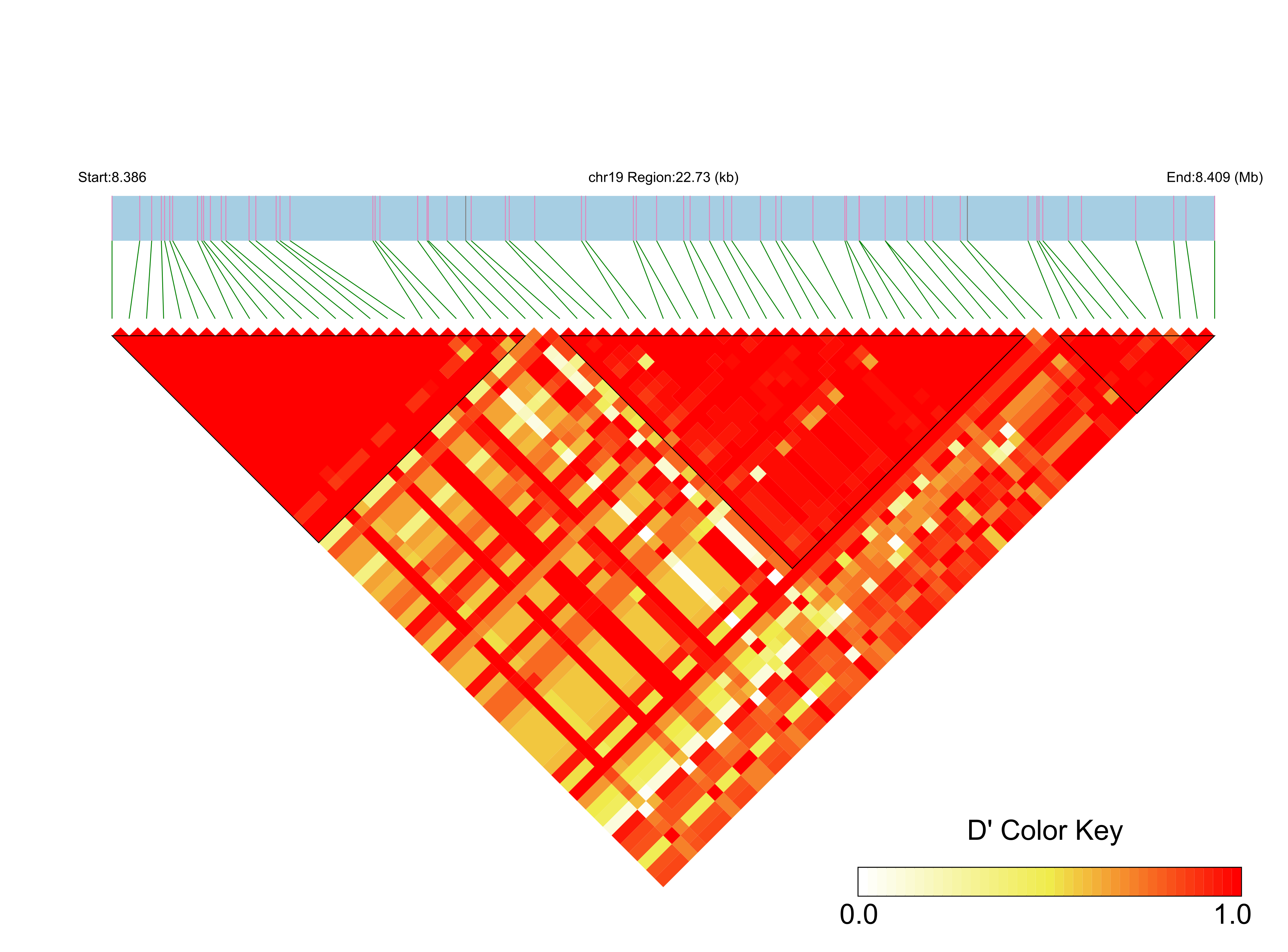 LD