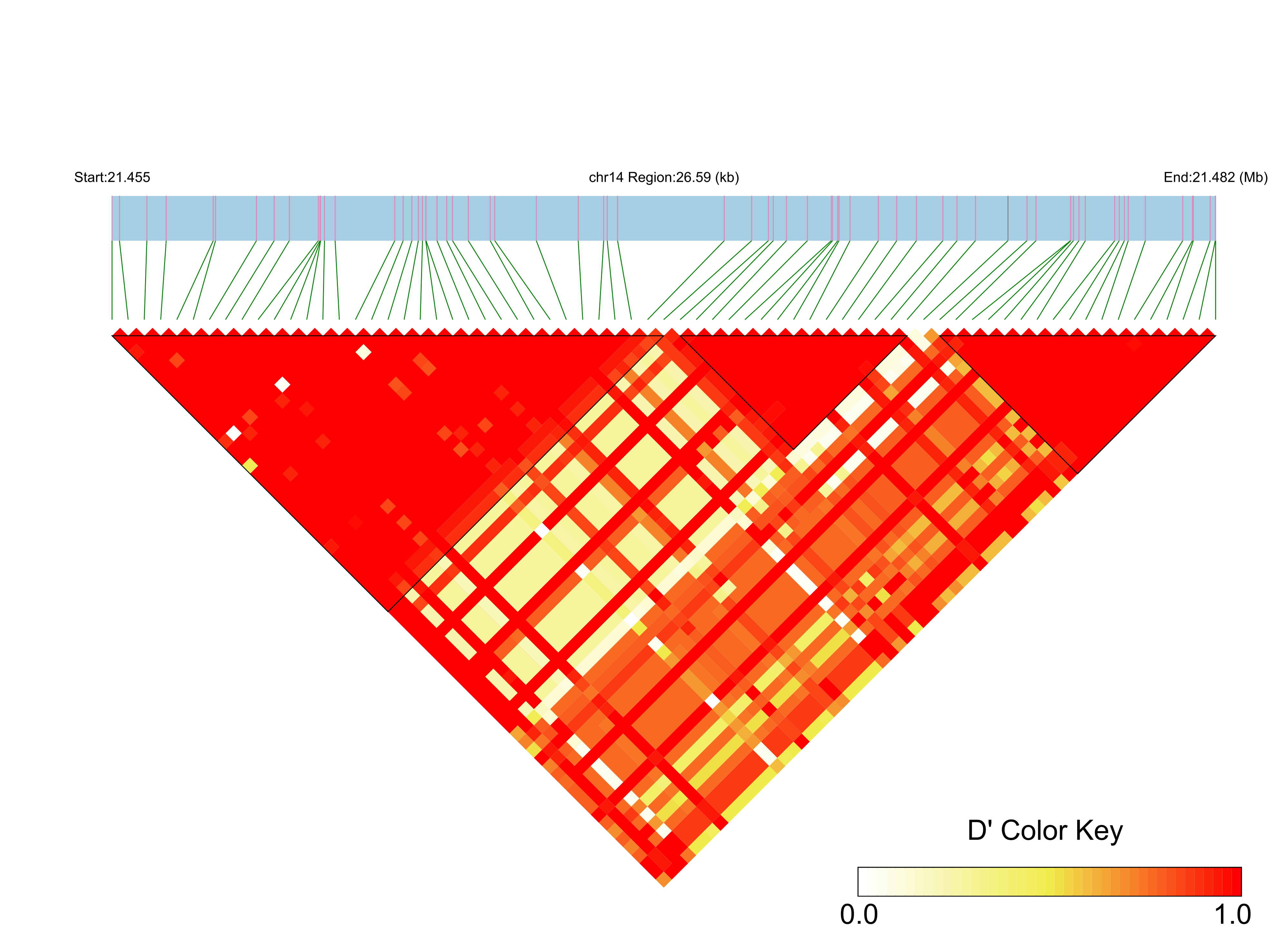 LD