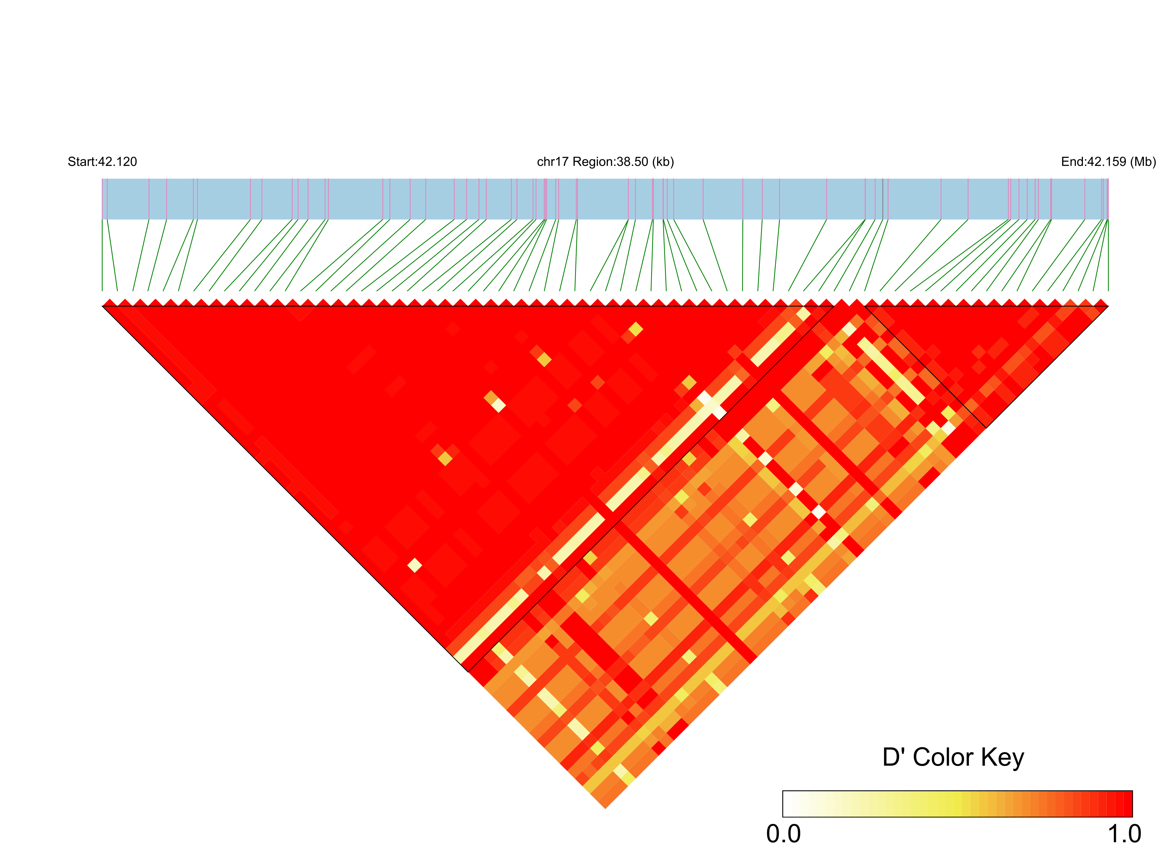 LD