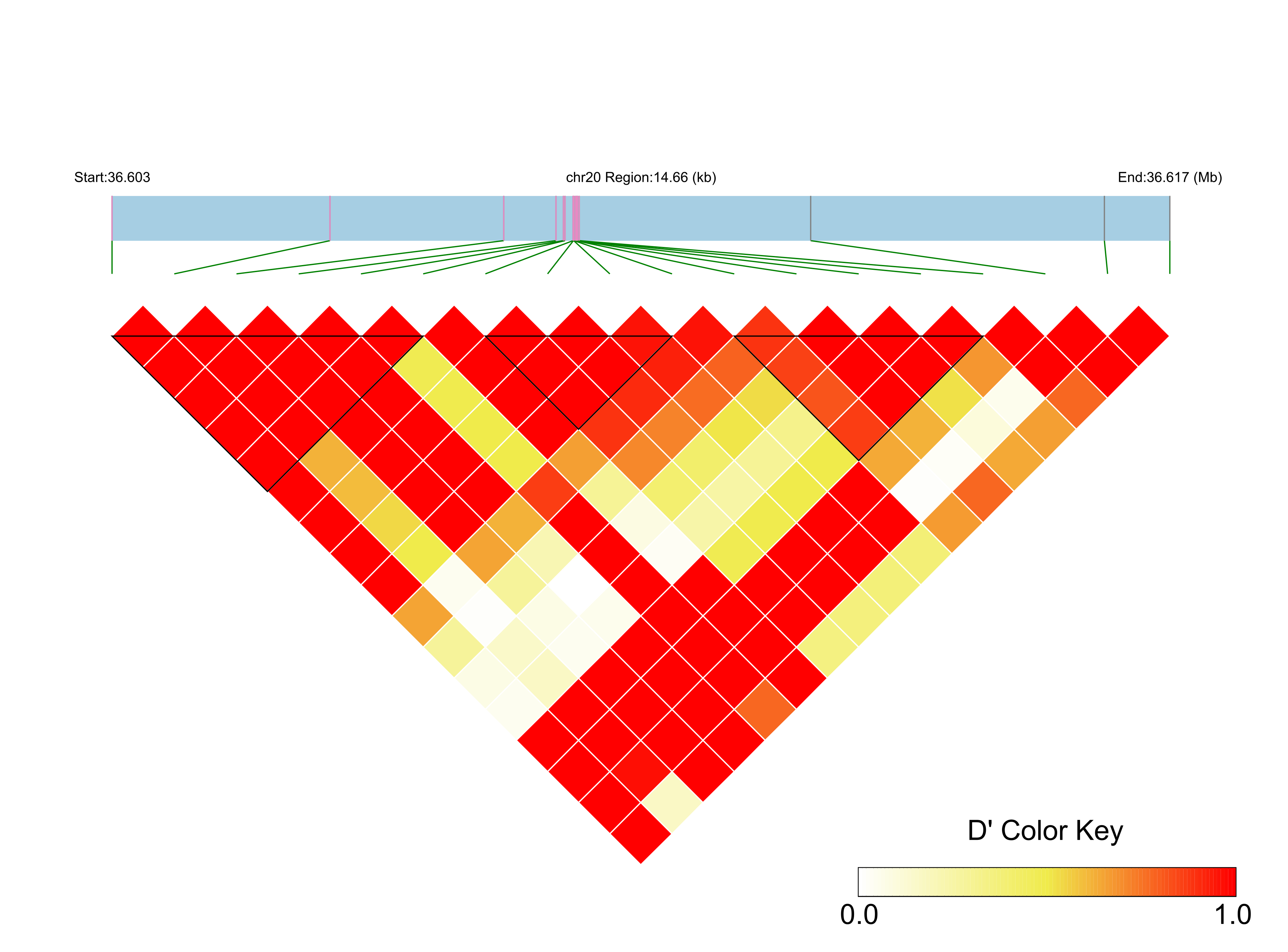 LD