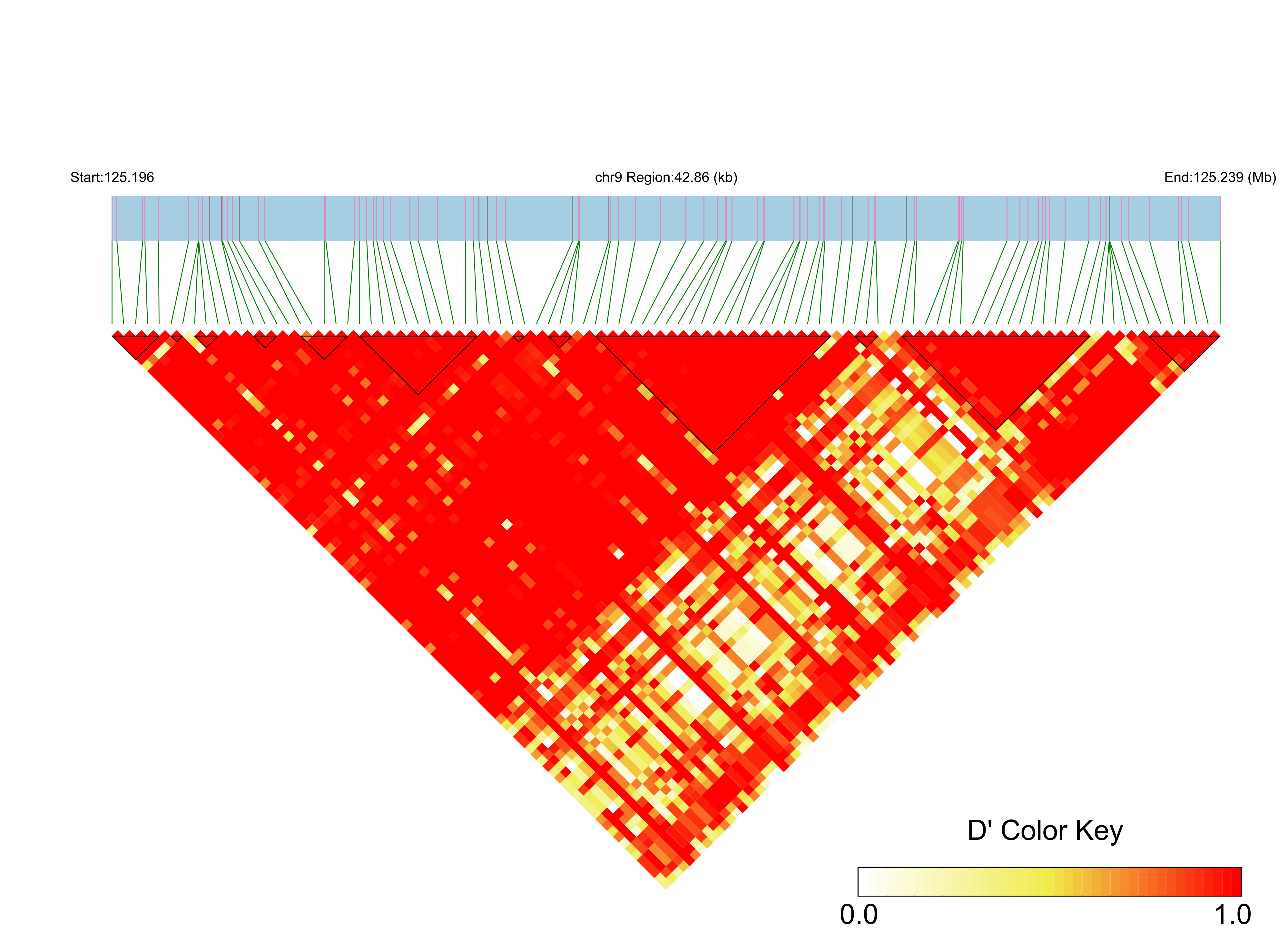 LD