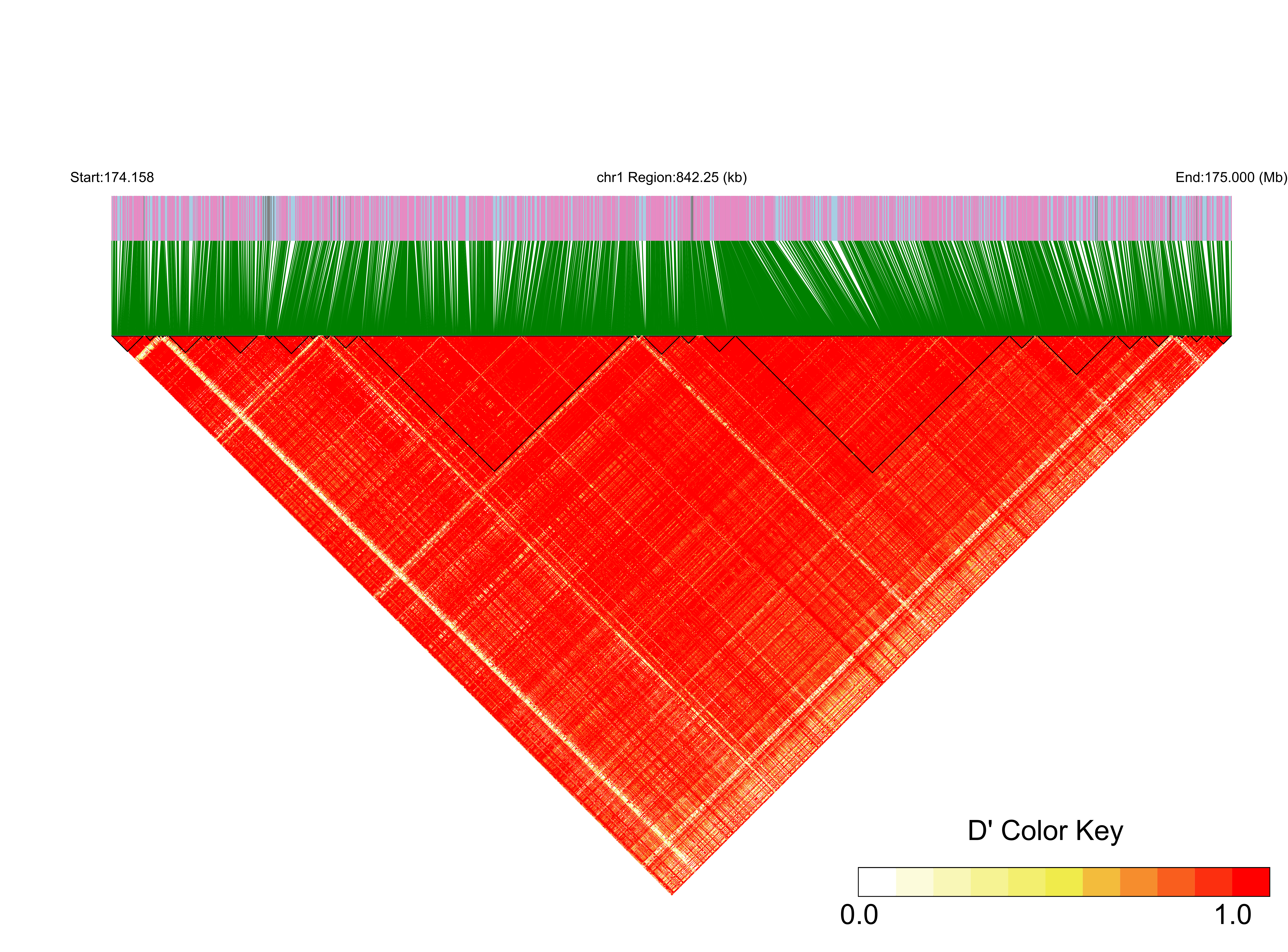 LD