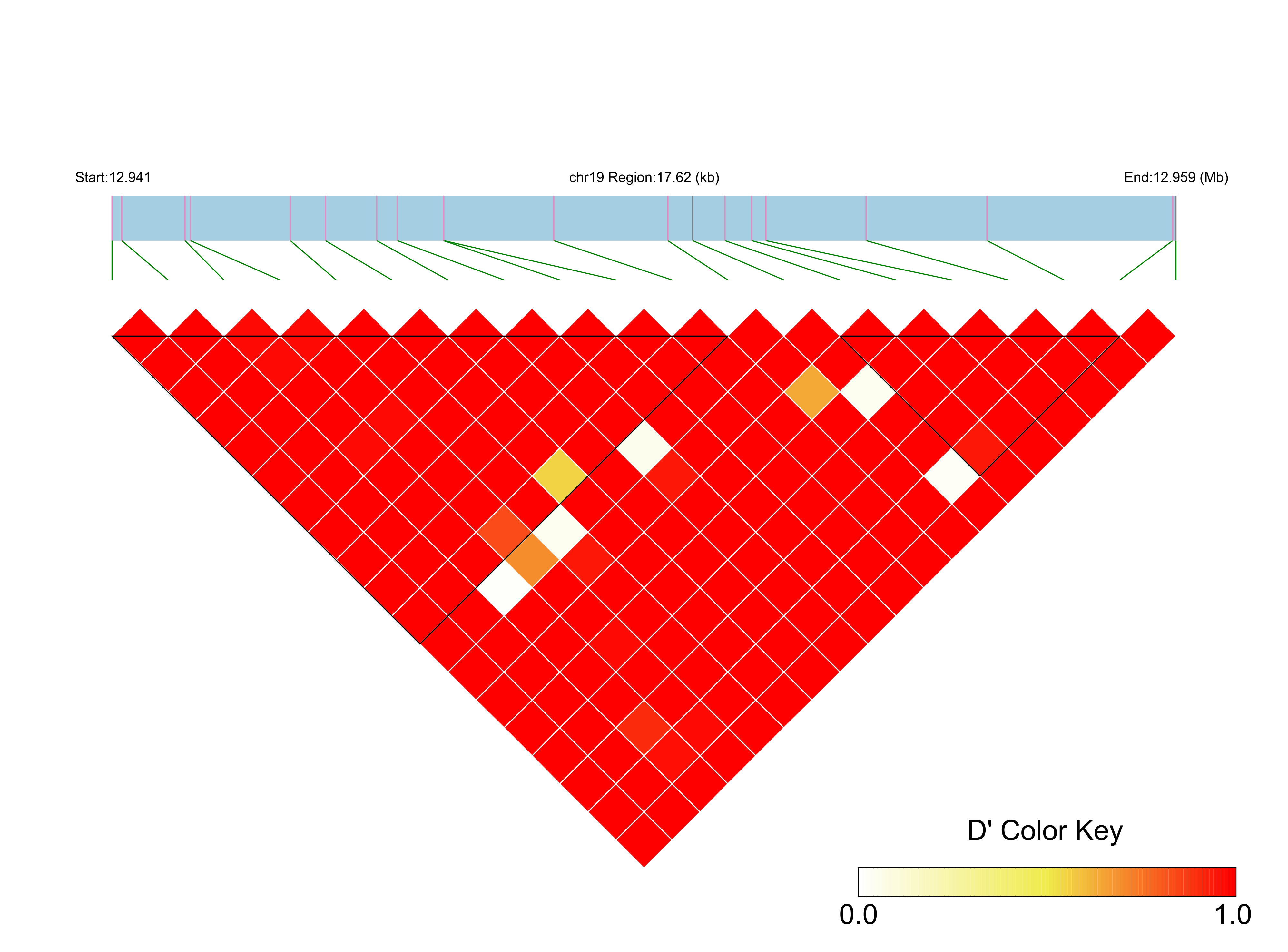 LD