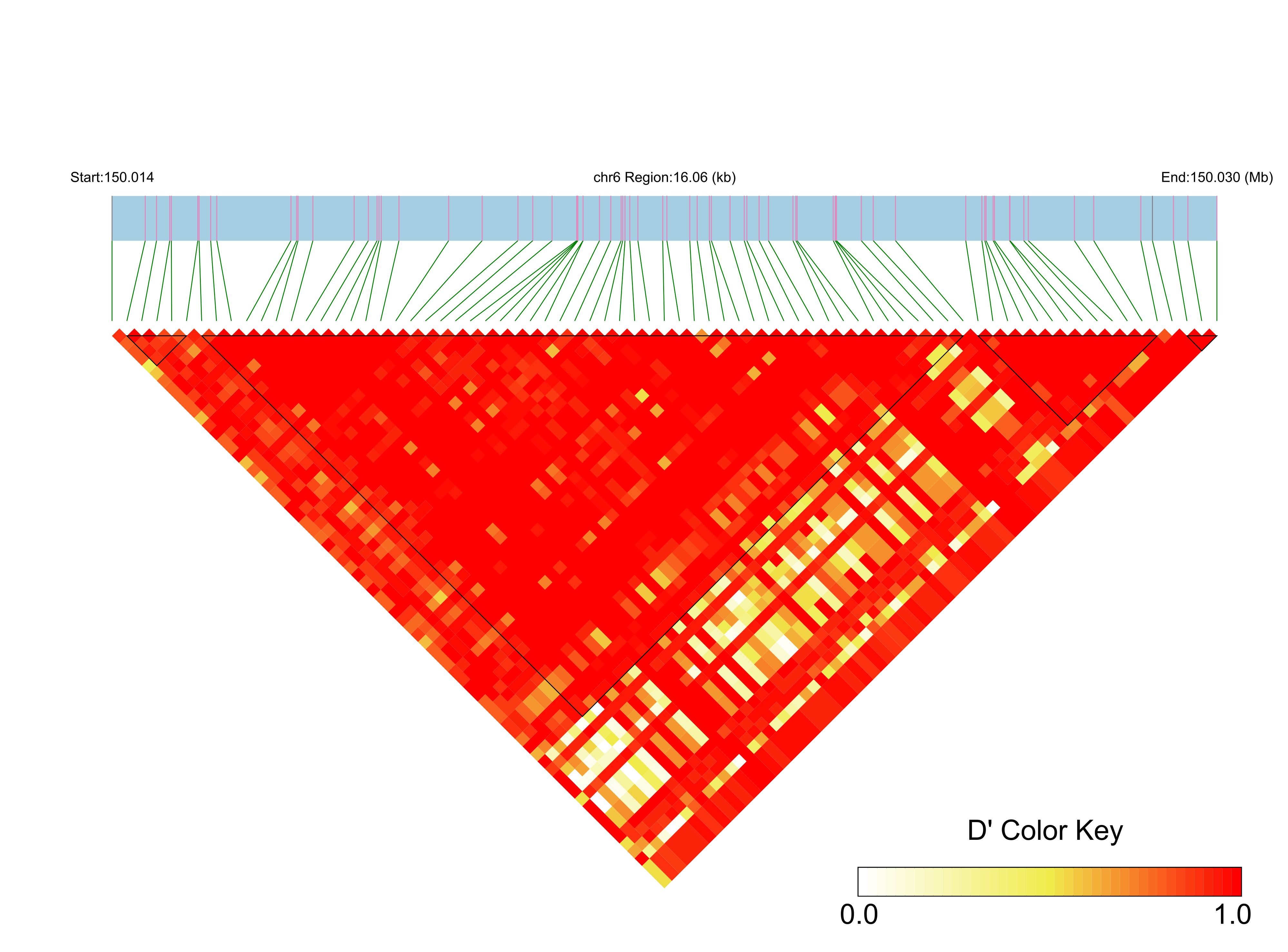 LD