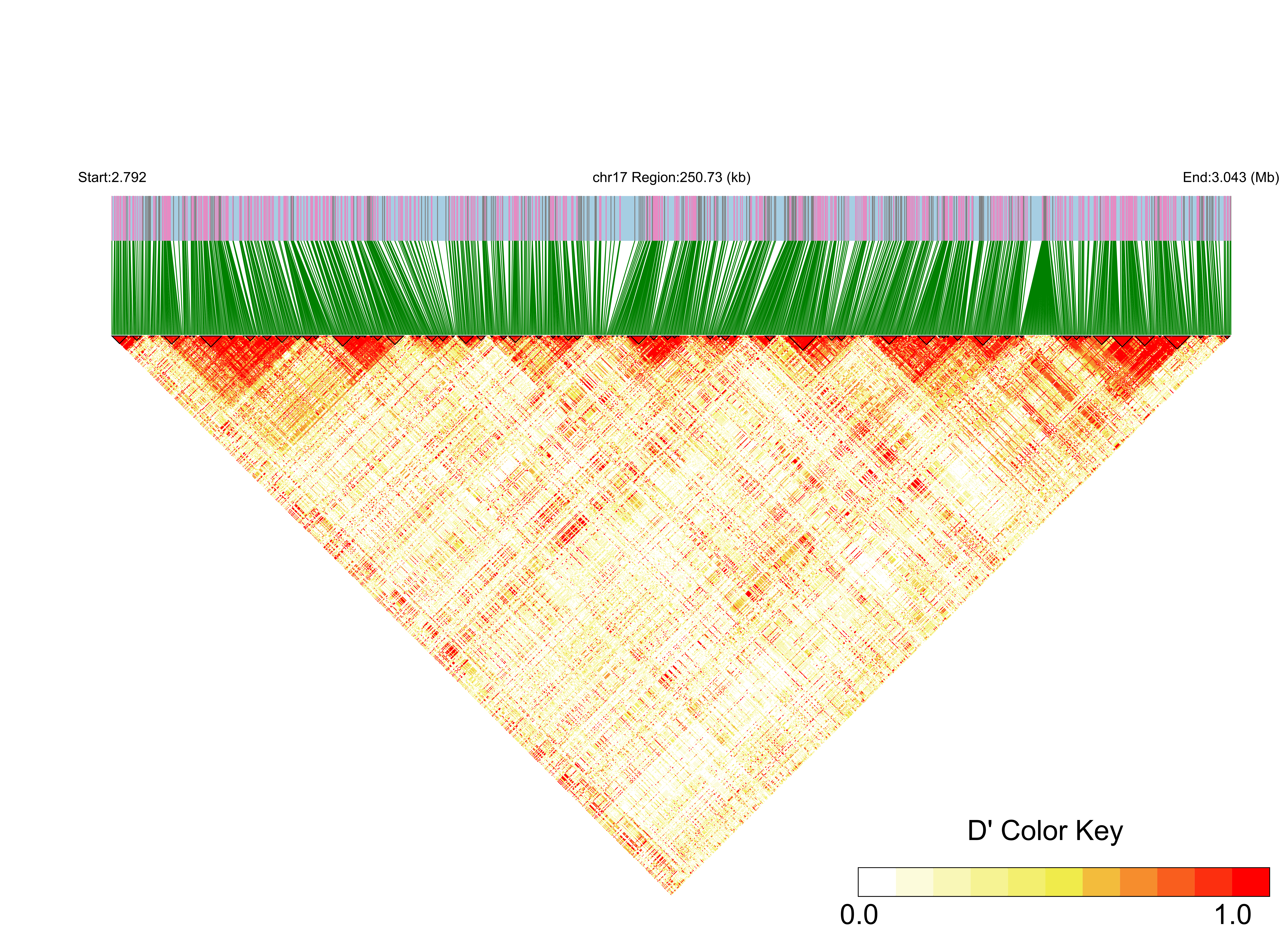 LD