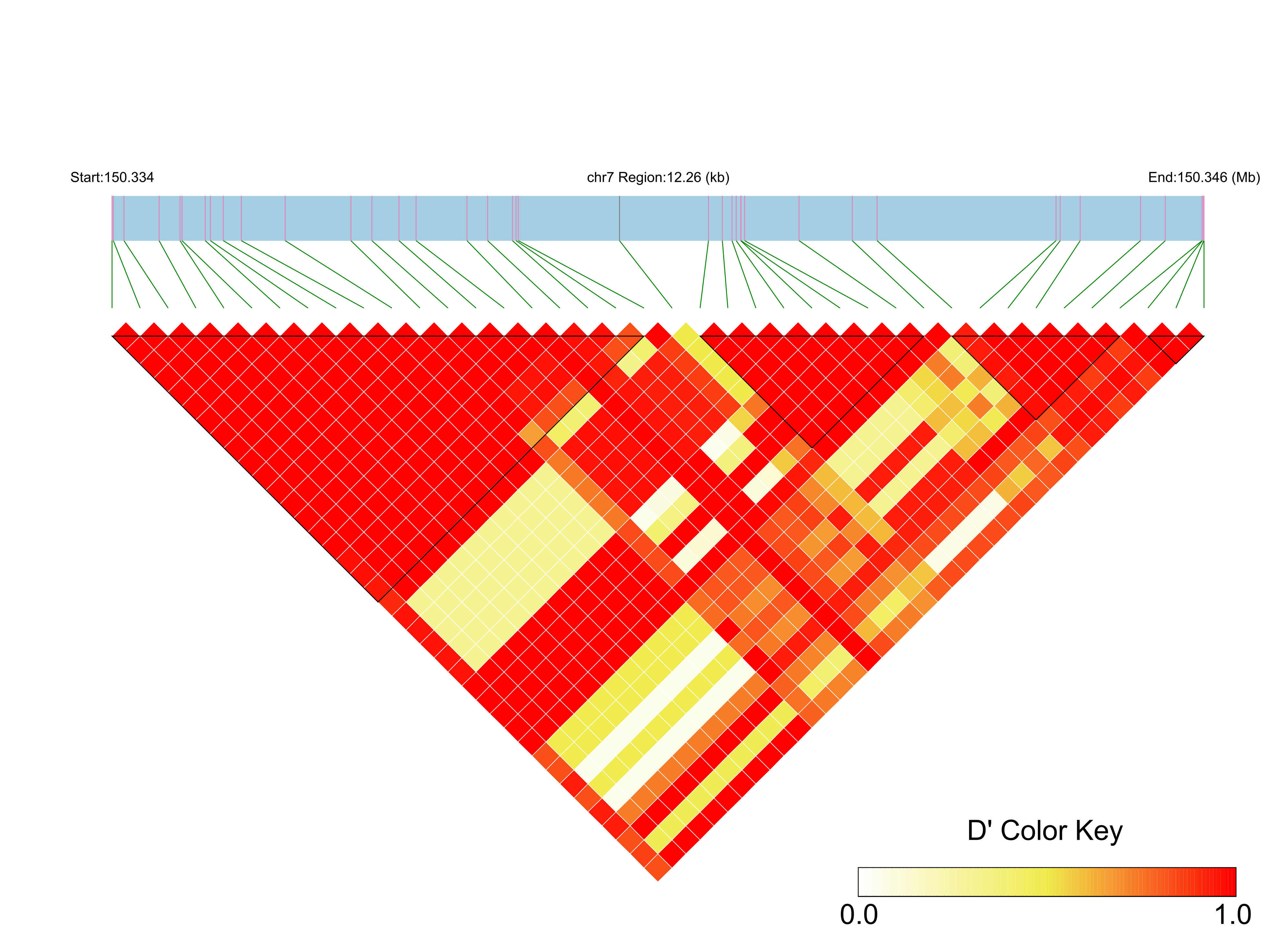 LD