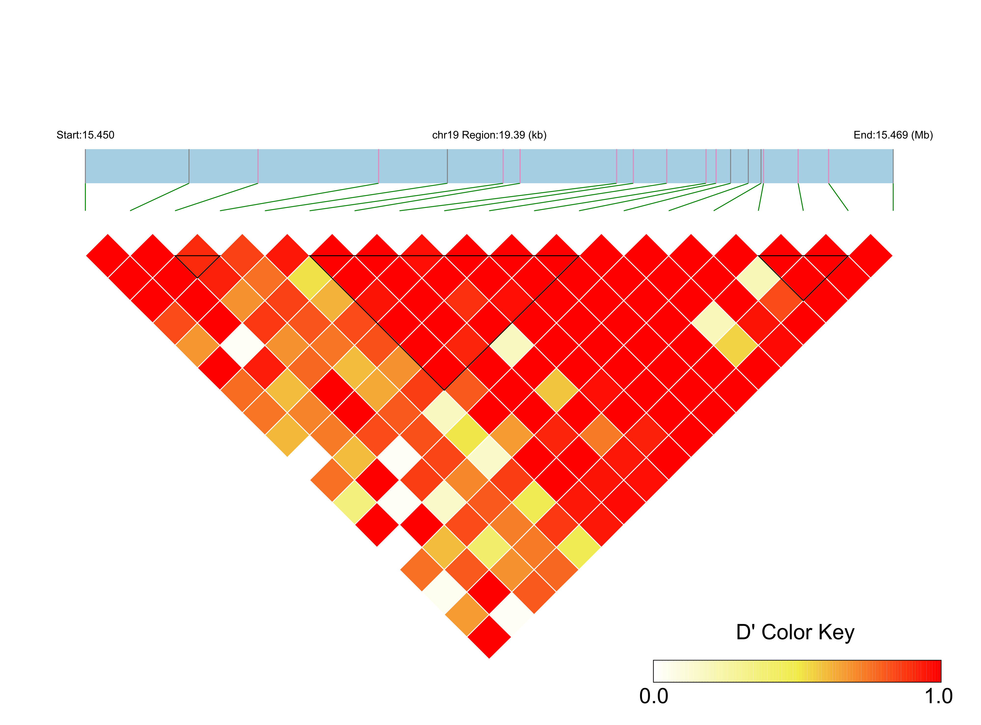 LD