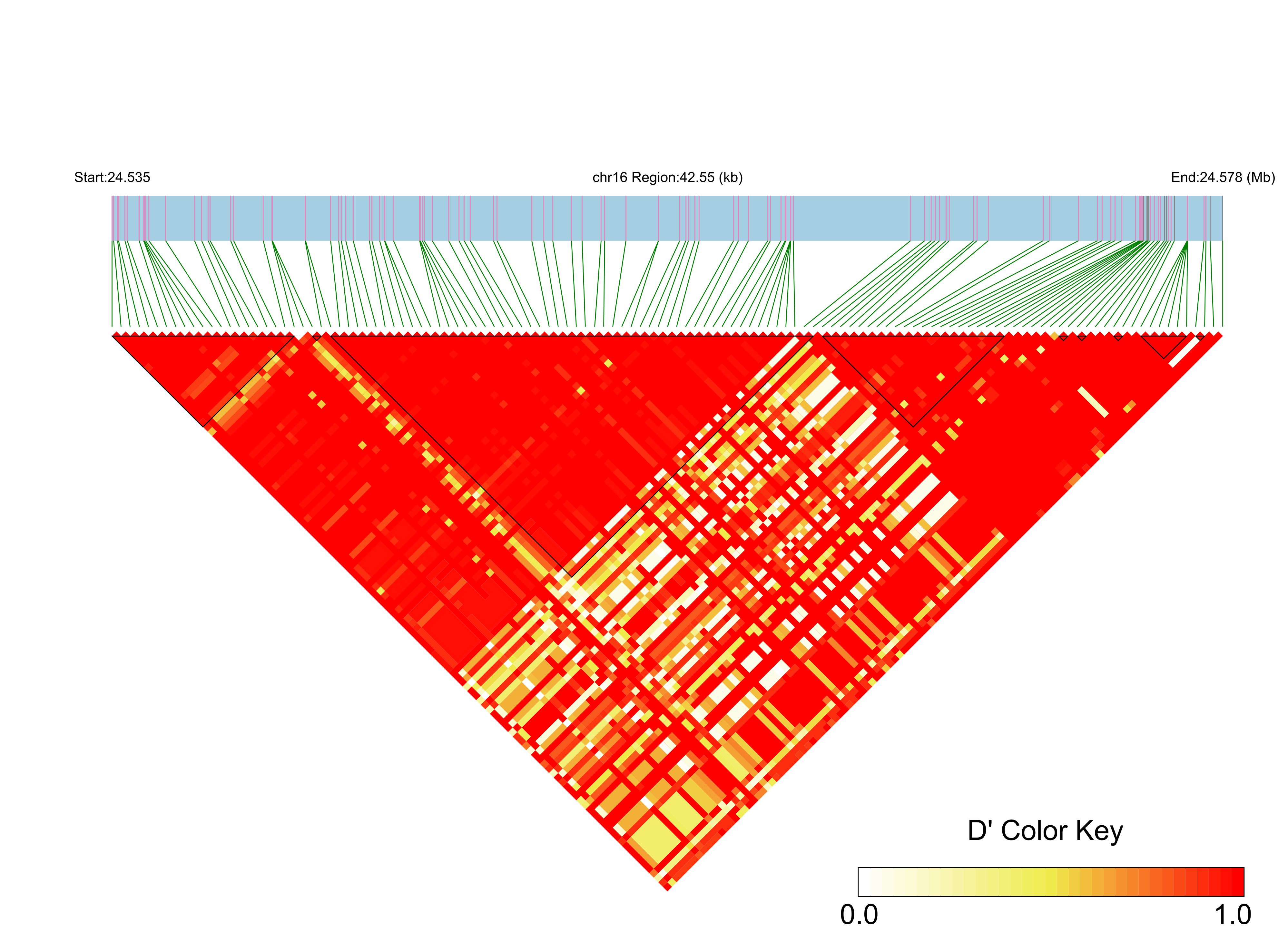LD