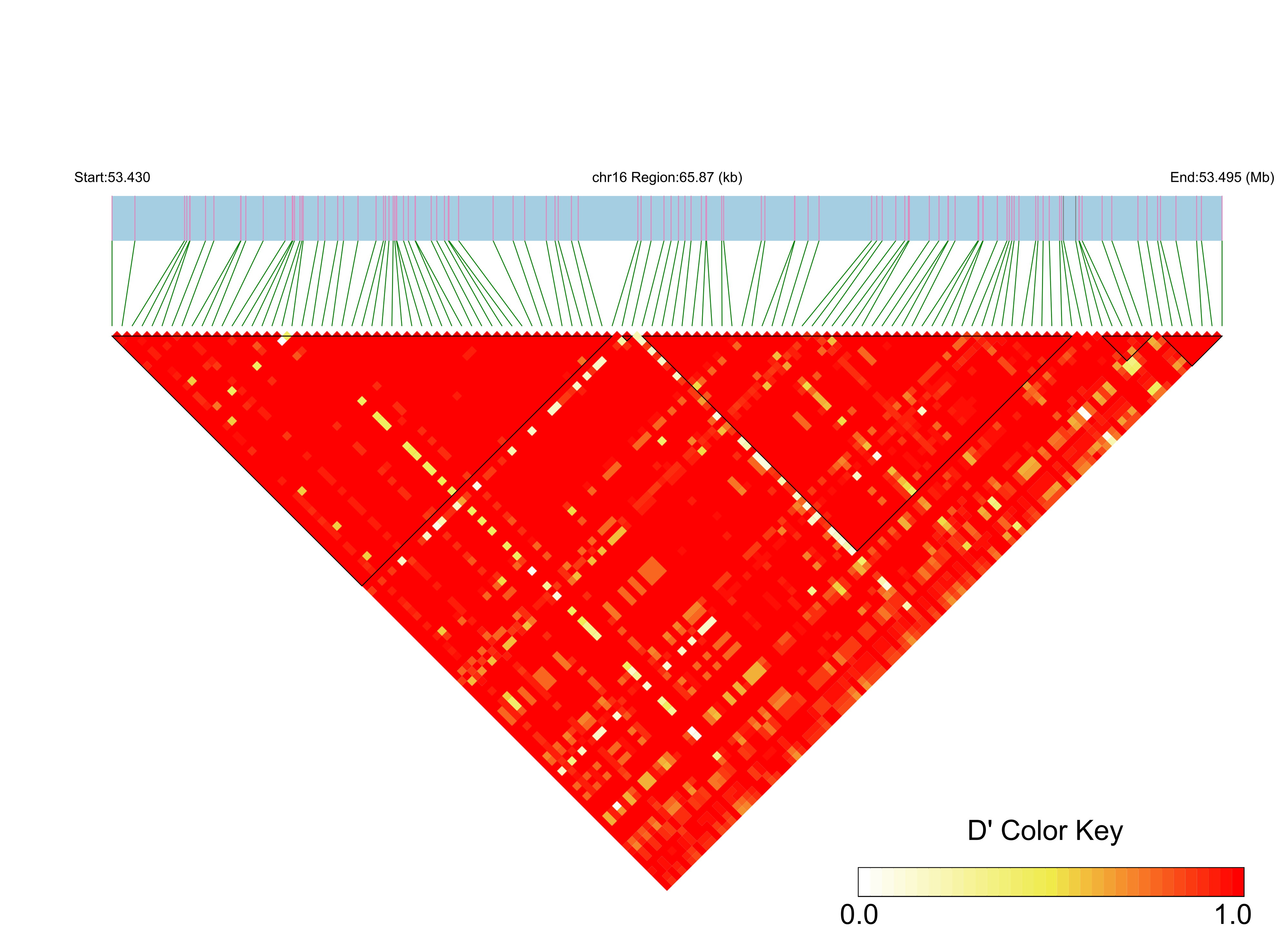 LD