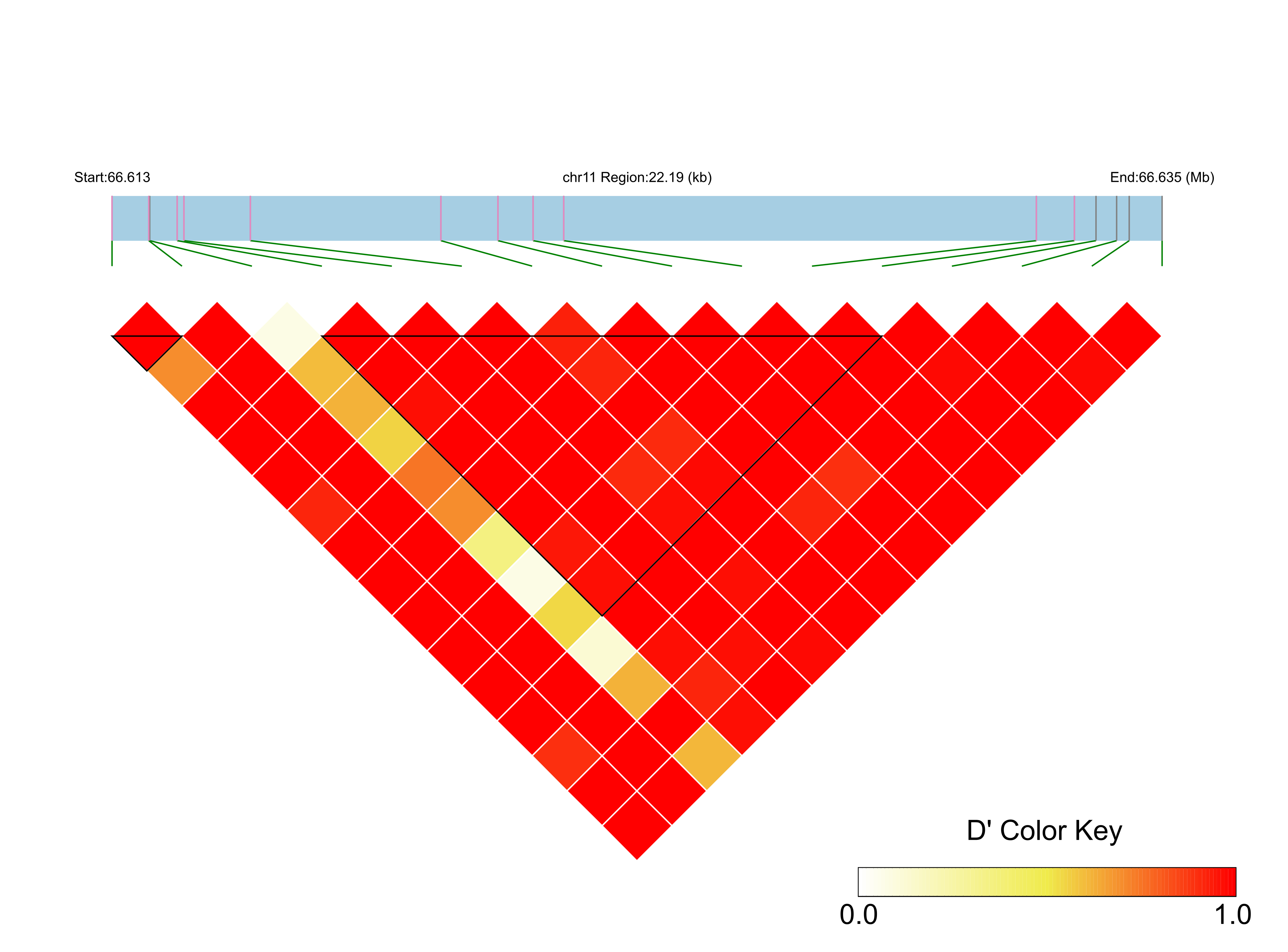 LD