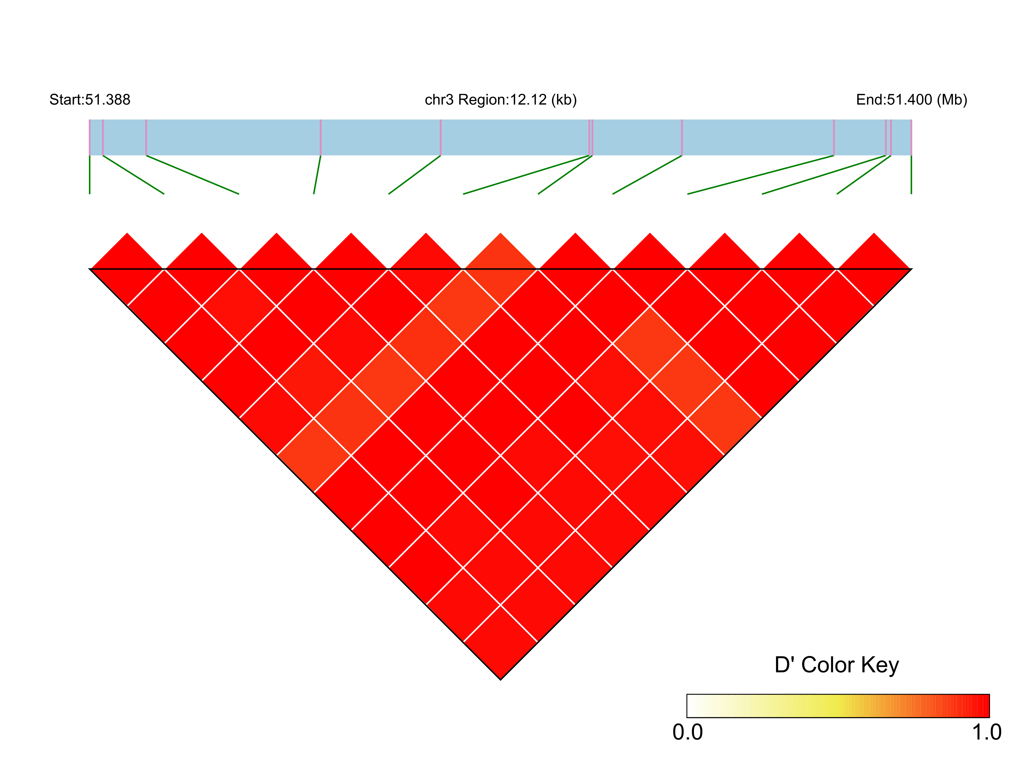 LD