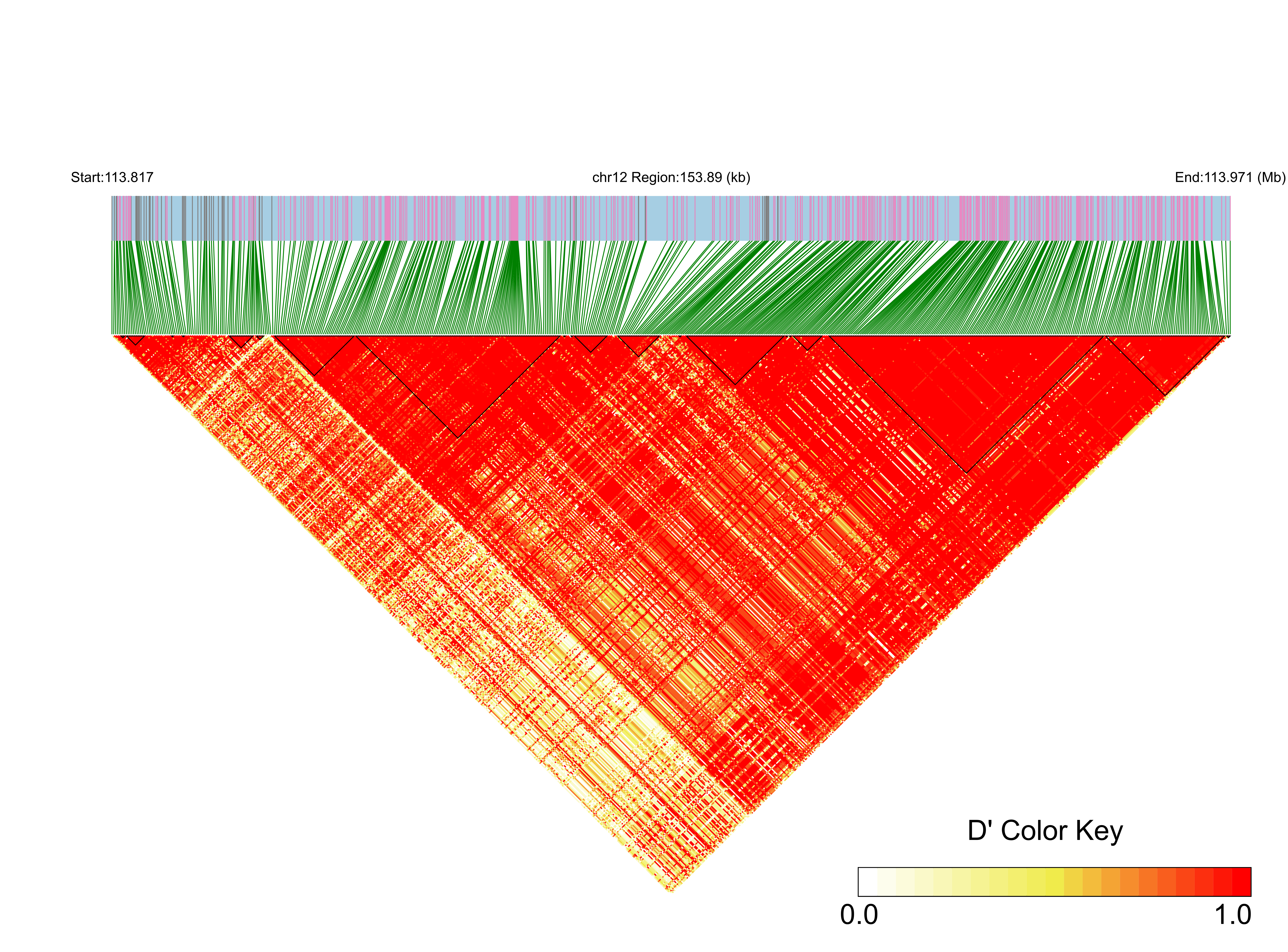 LD