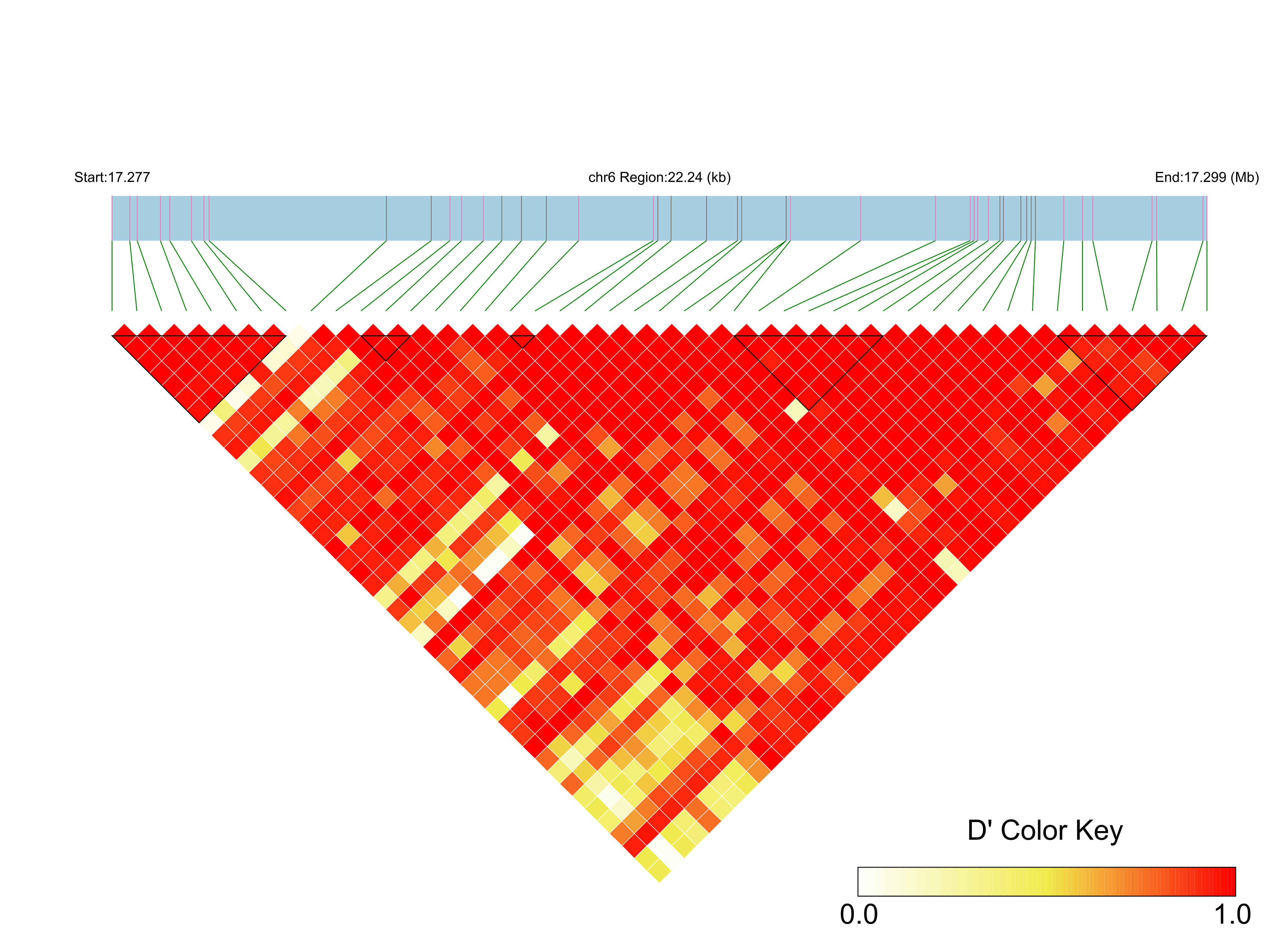 LD