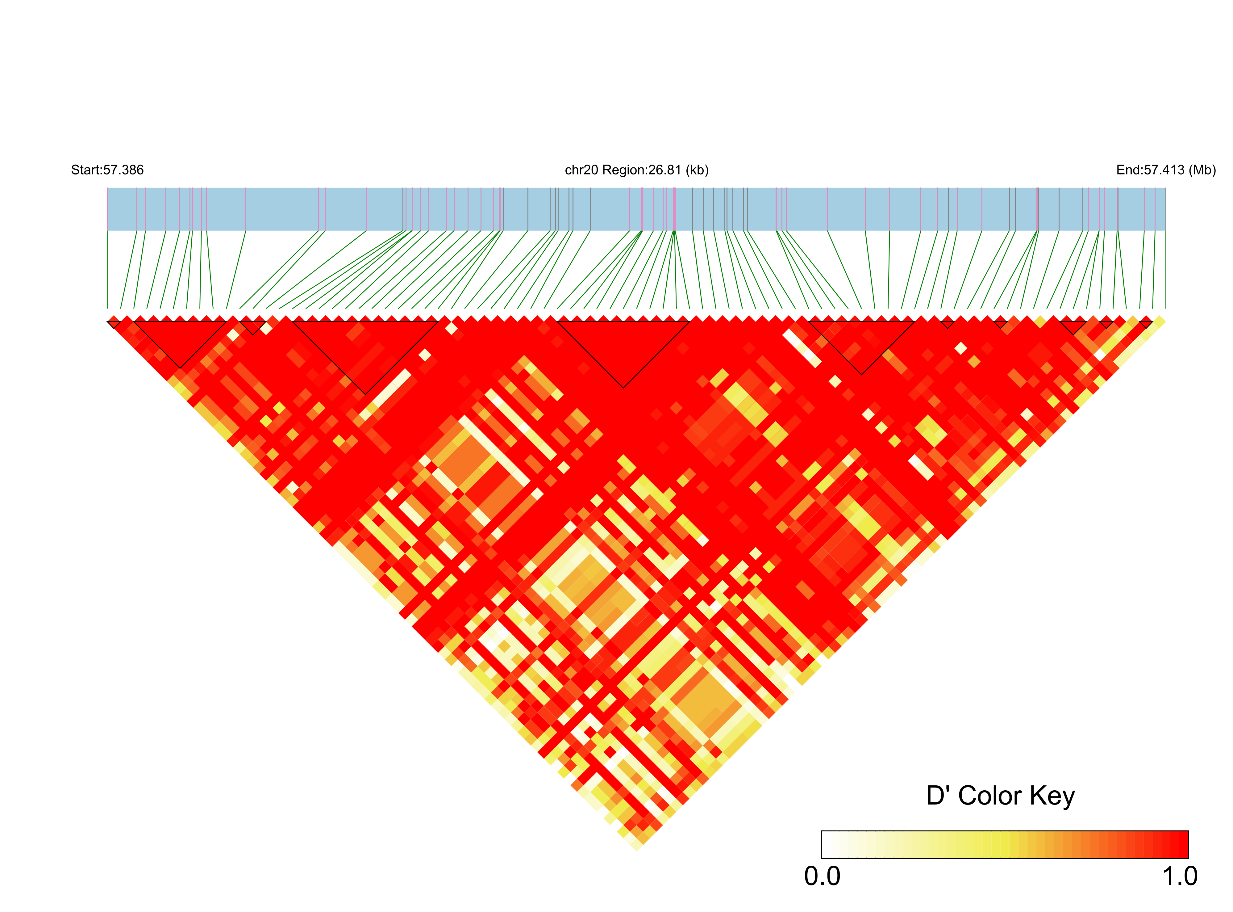 LD