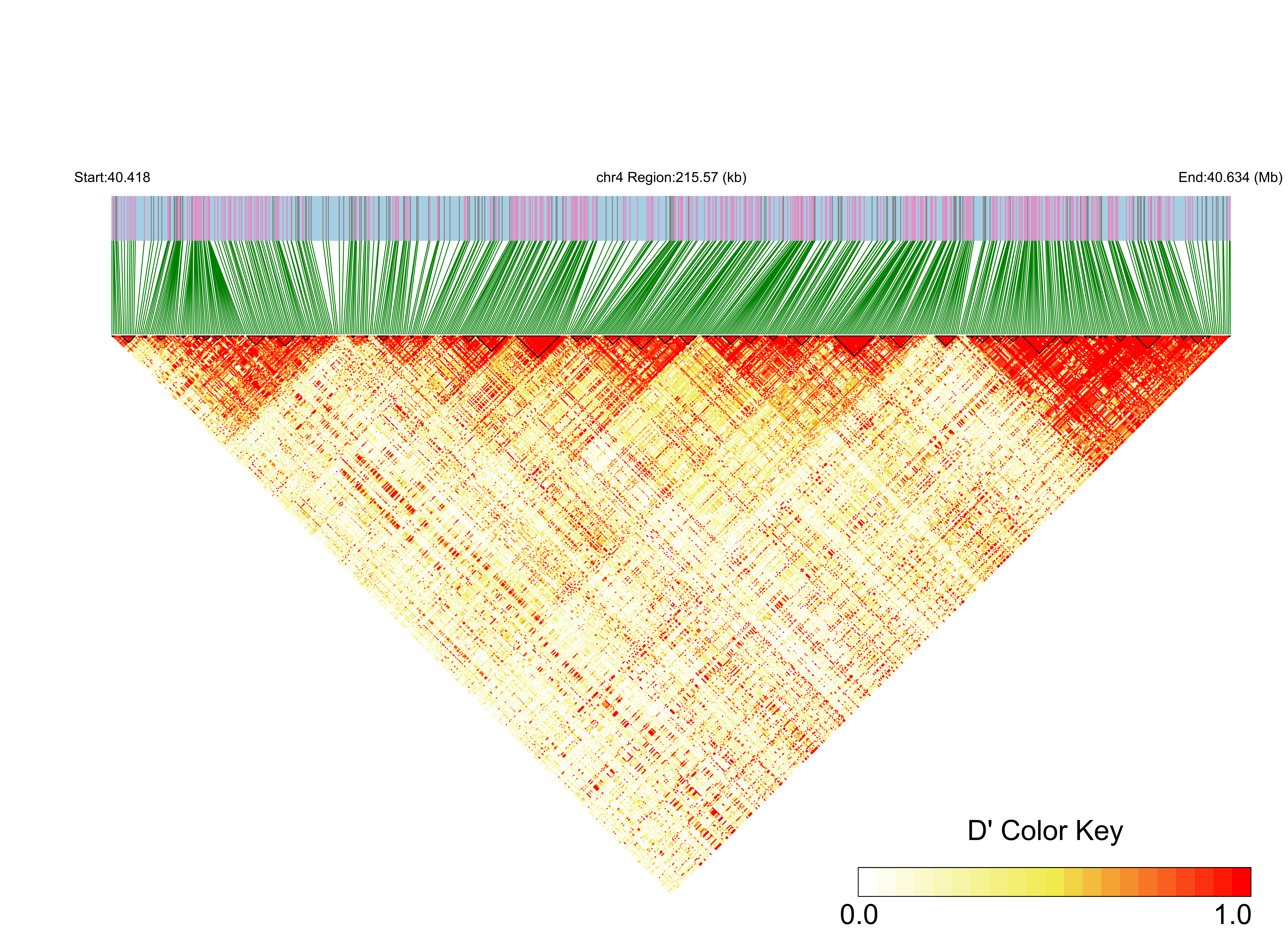 LD