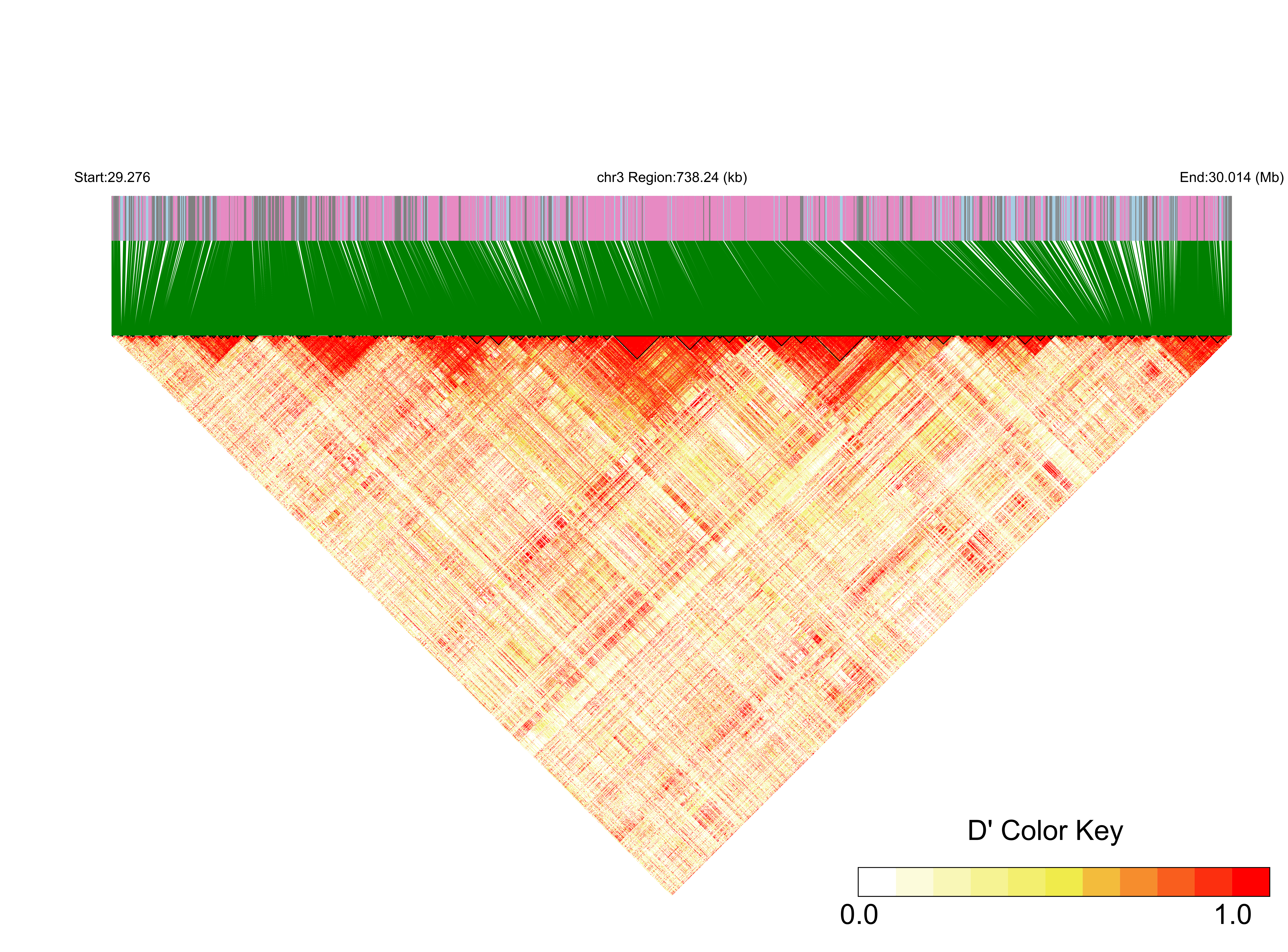 LD