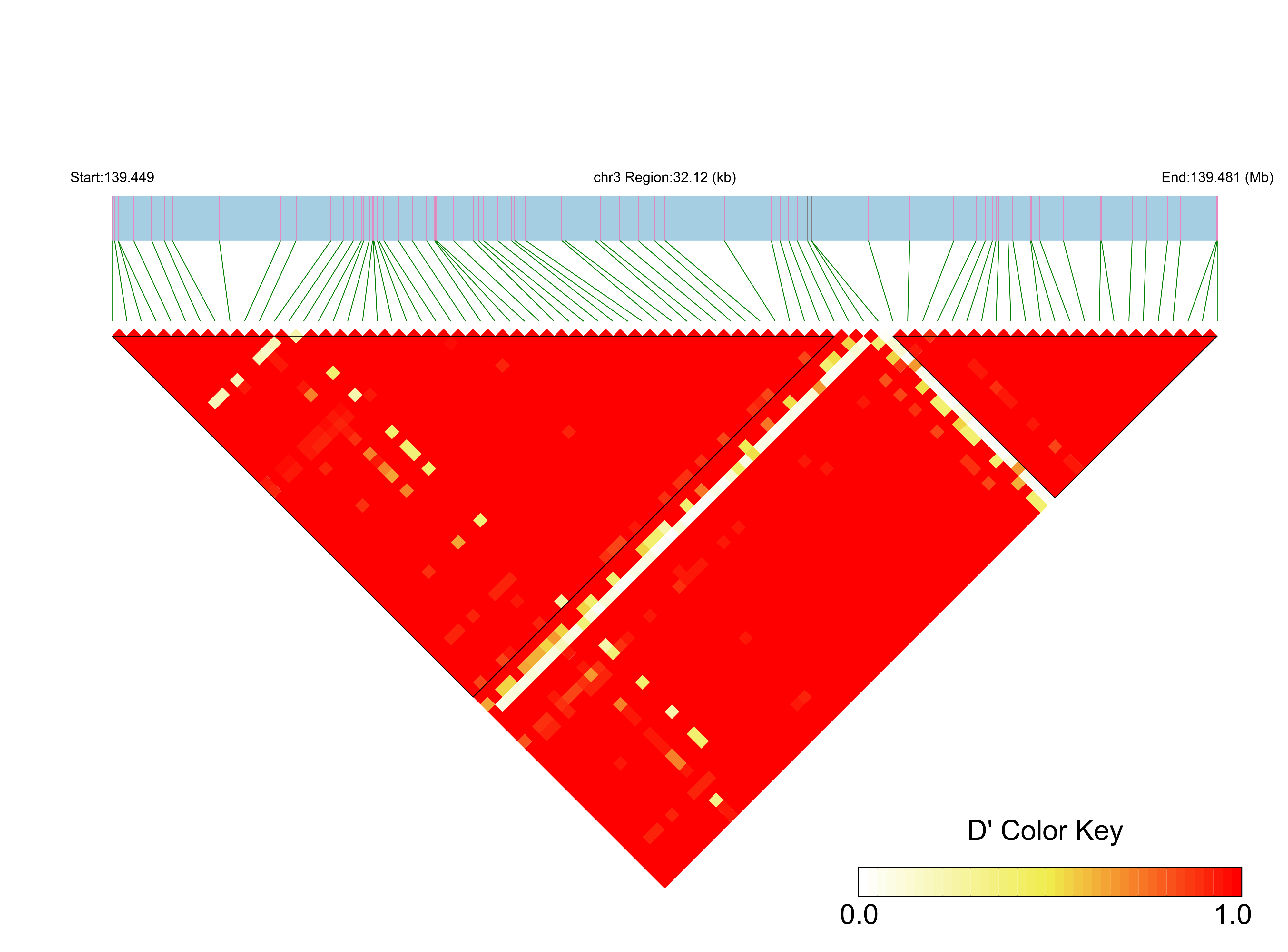 LD