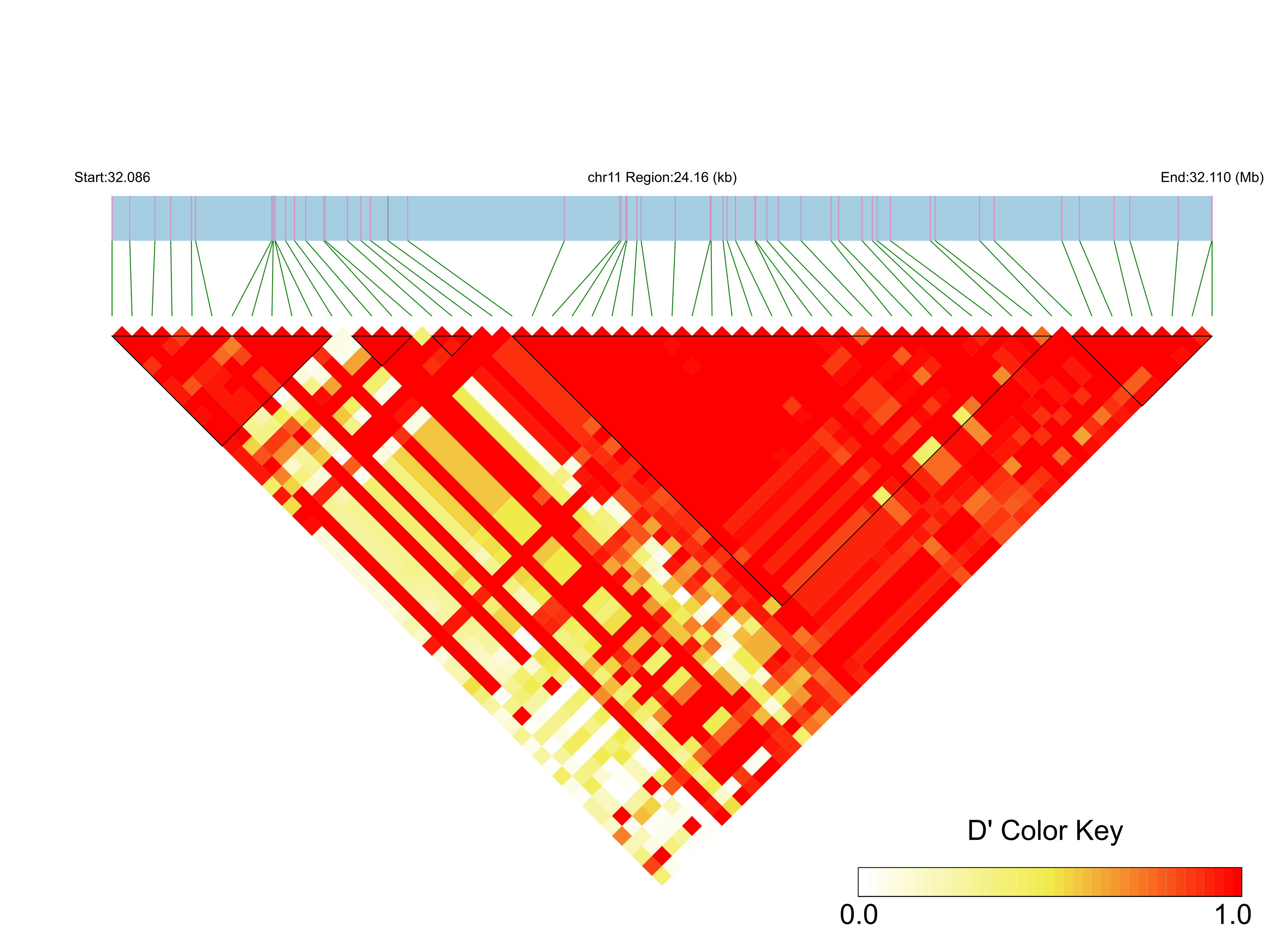 LD
