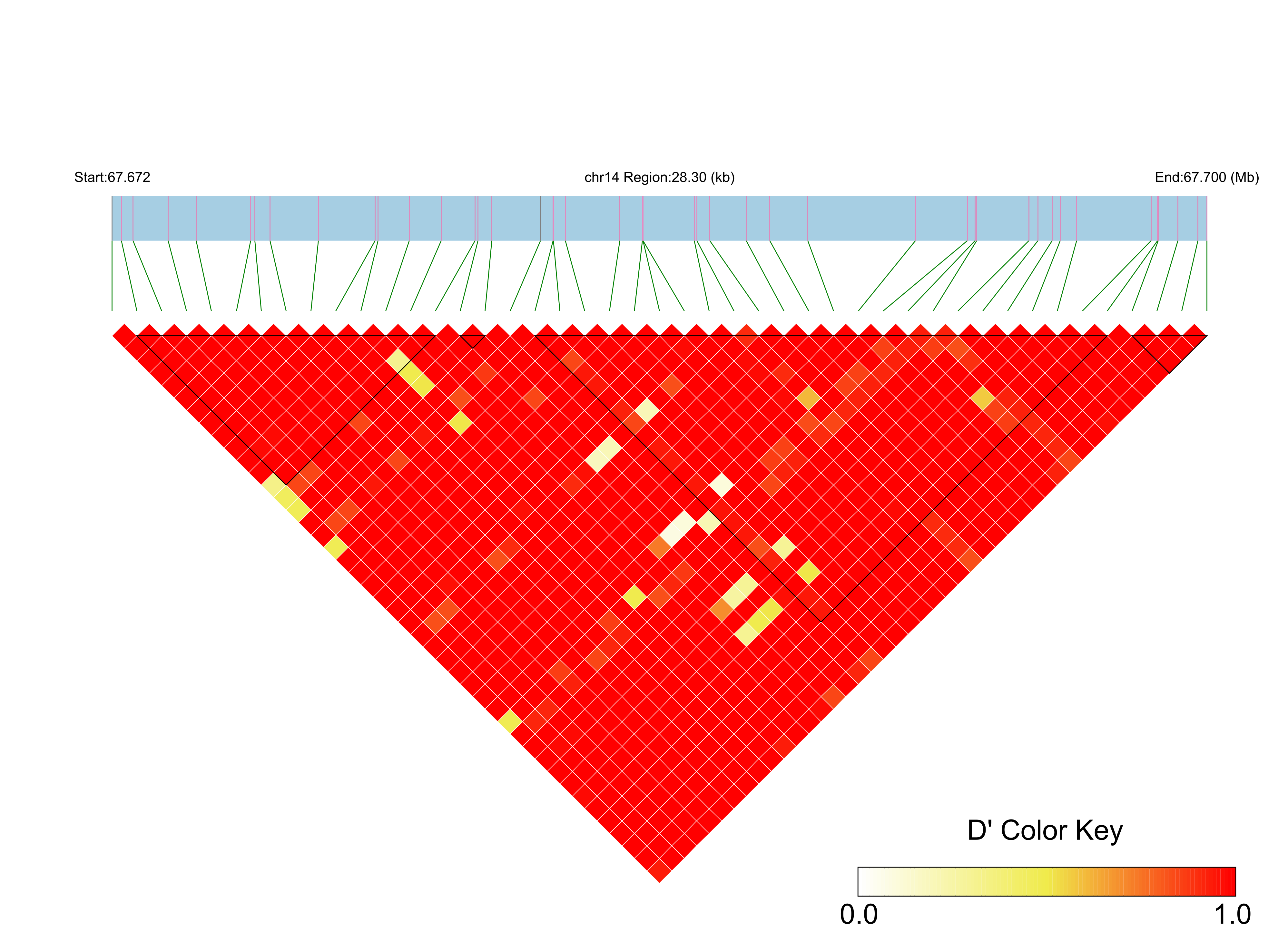 LD