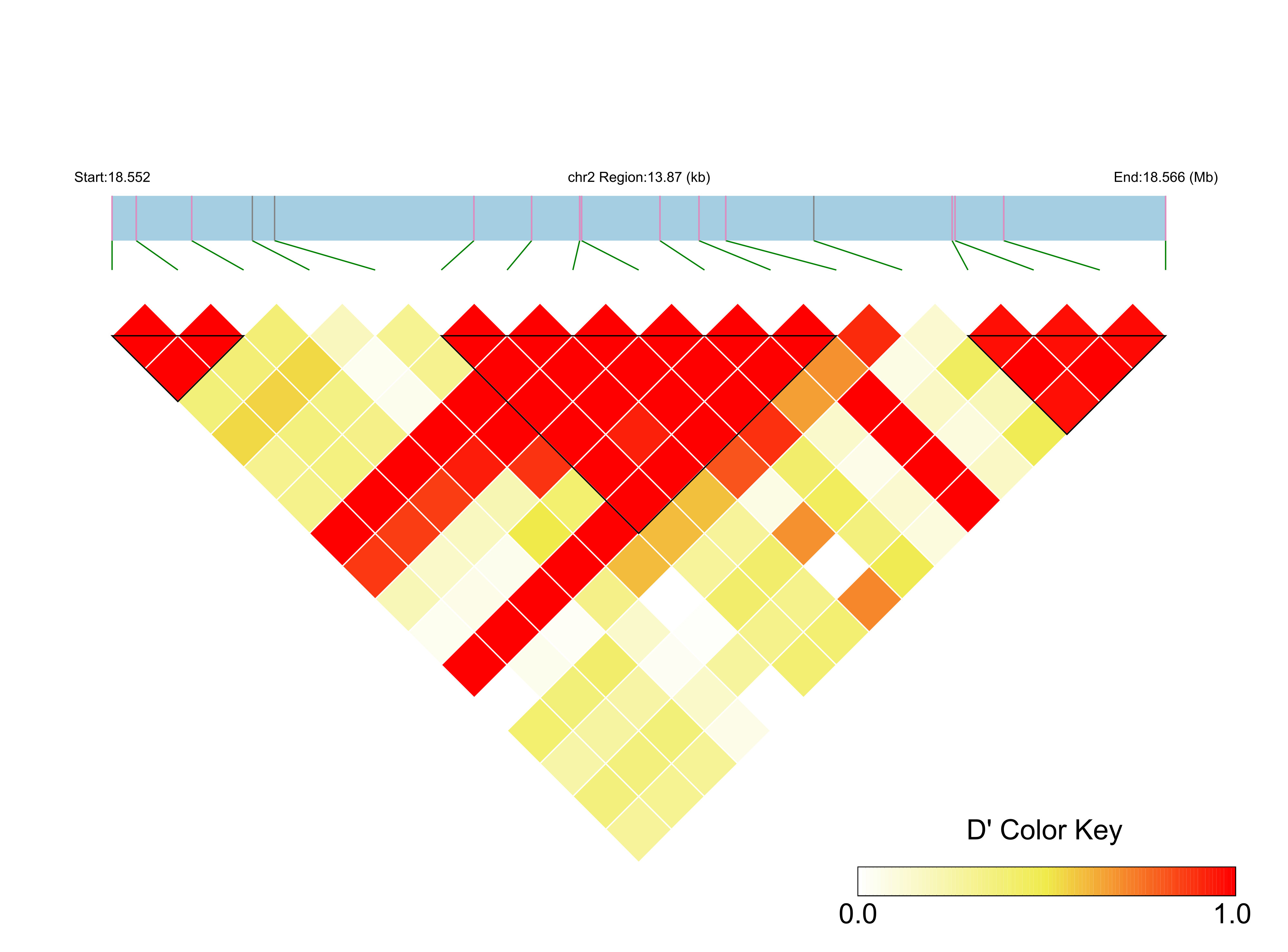 LD