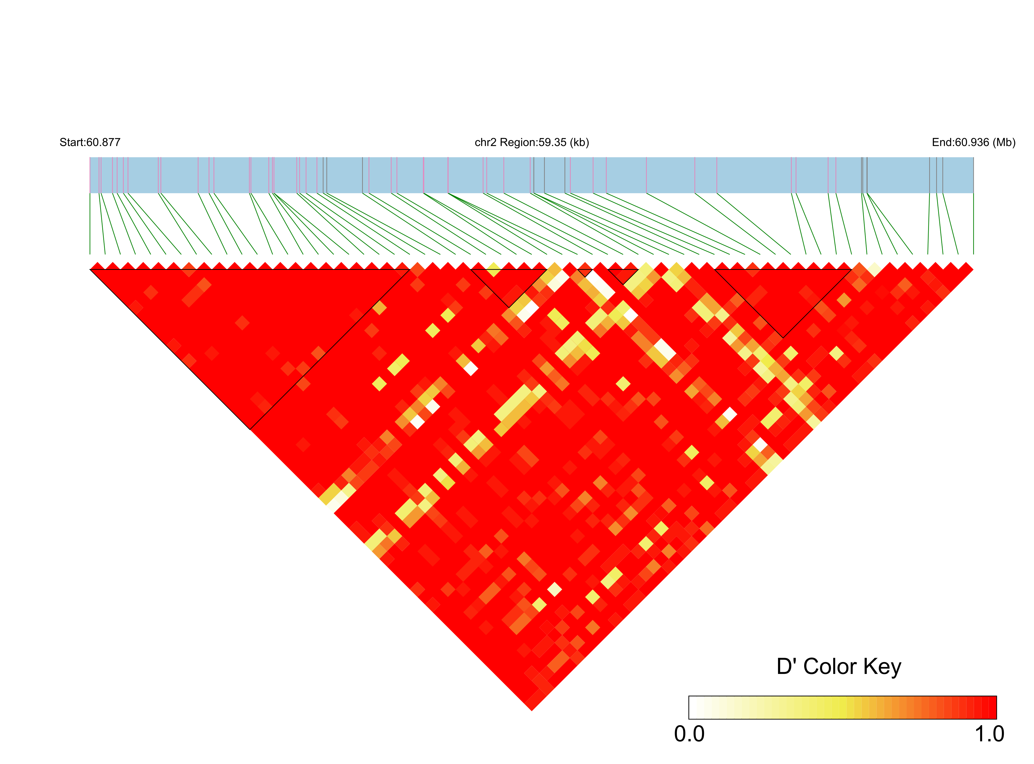 LD