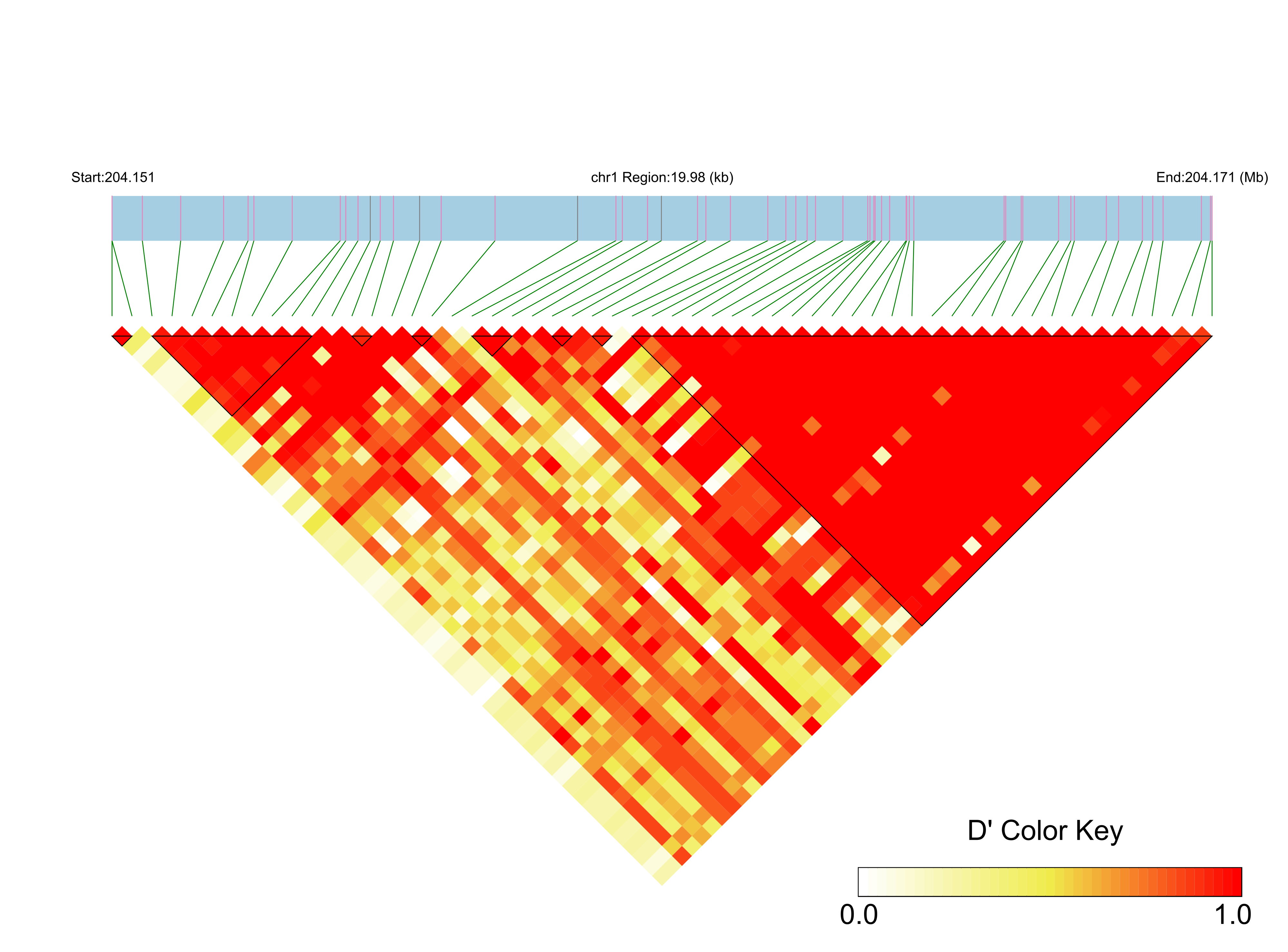 LD