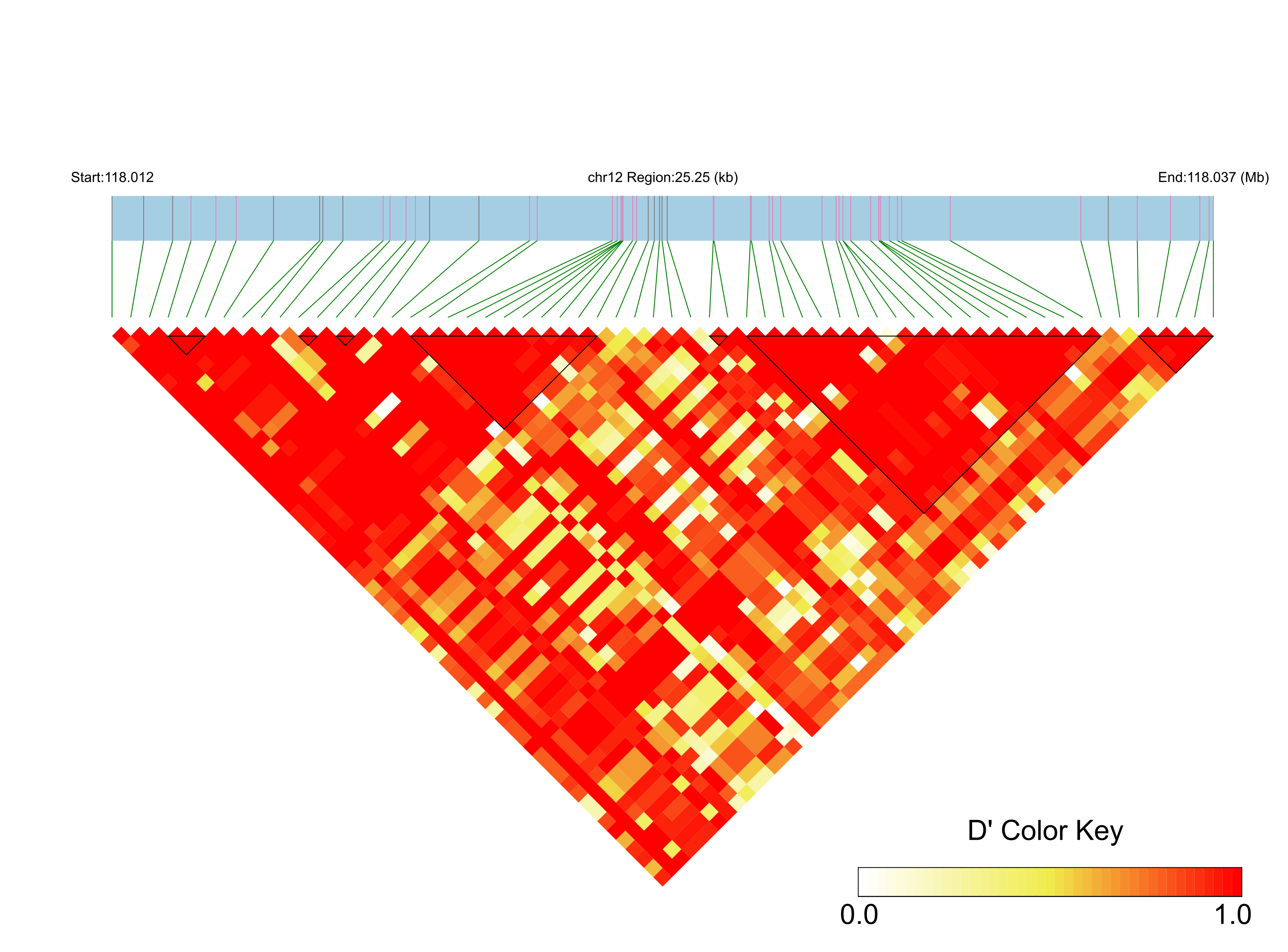 LD