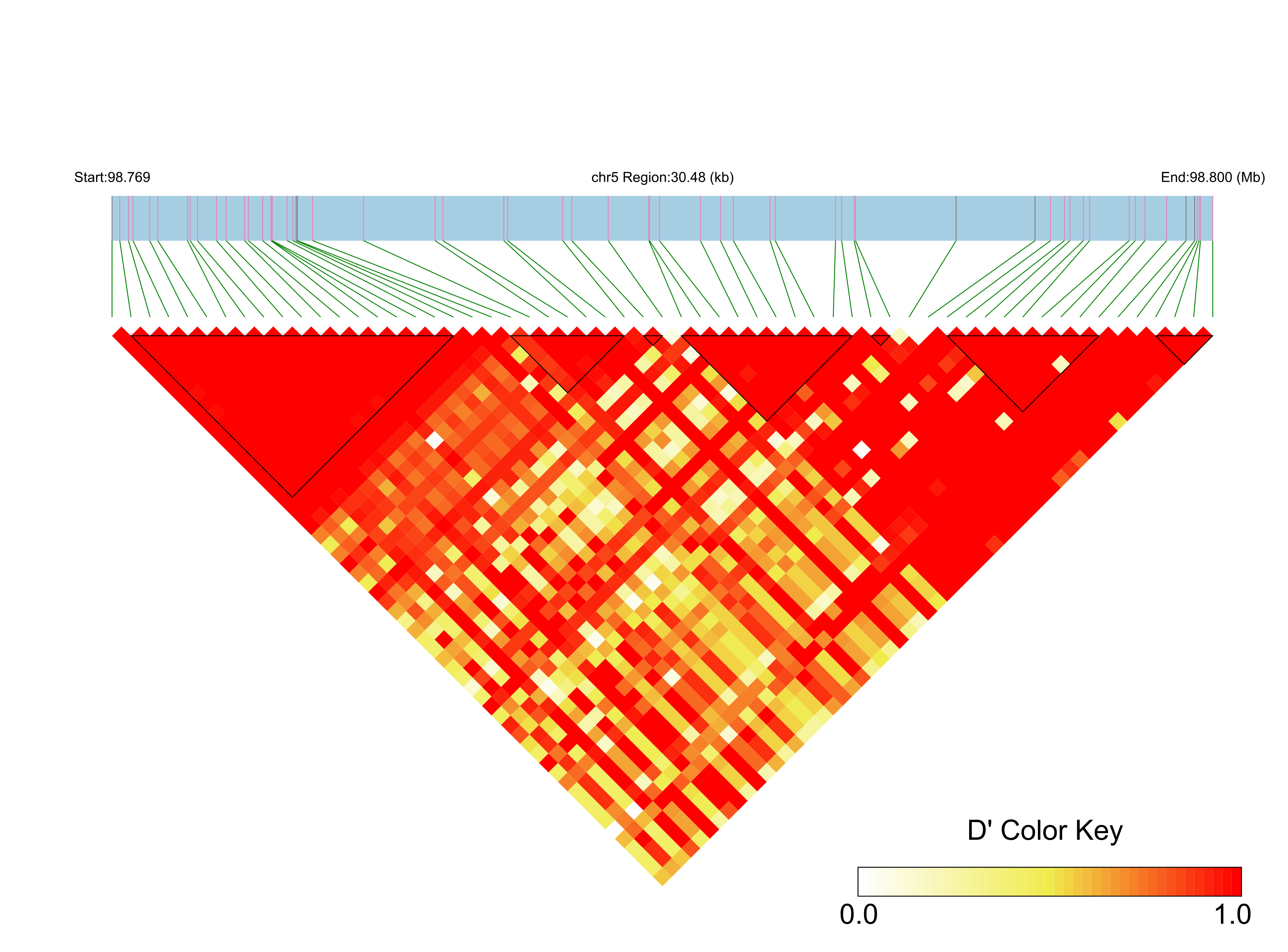 LD