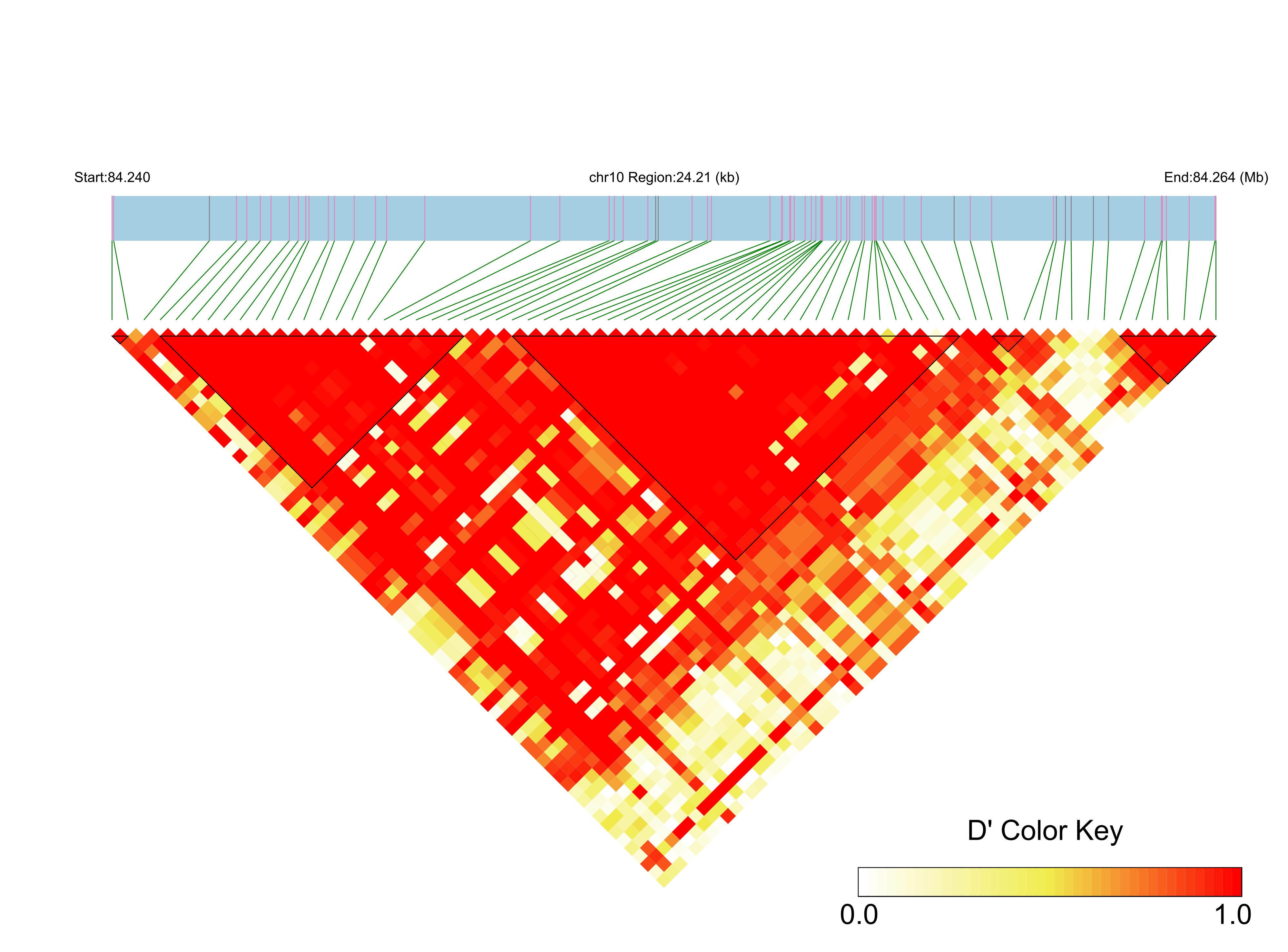 LD