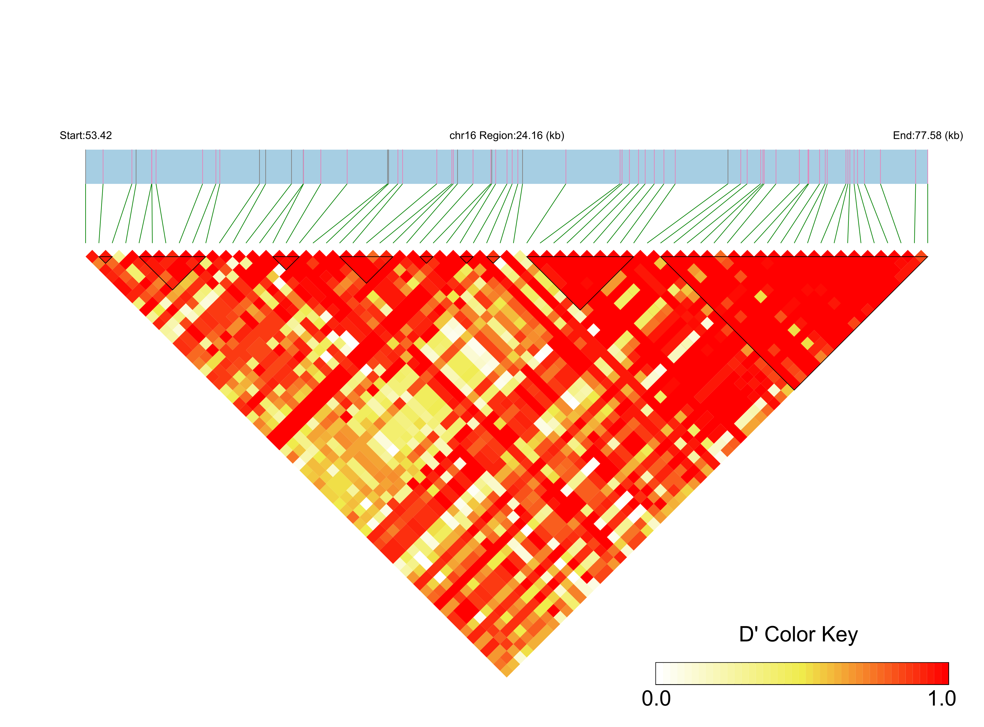 LD