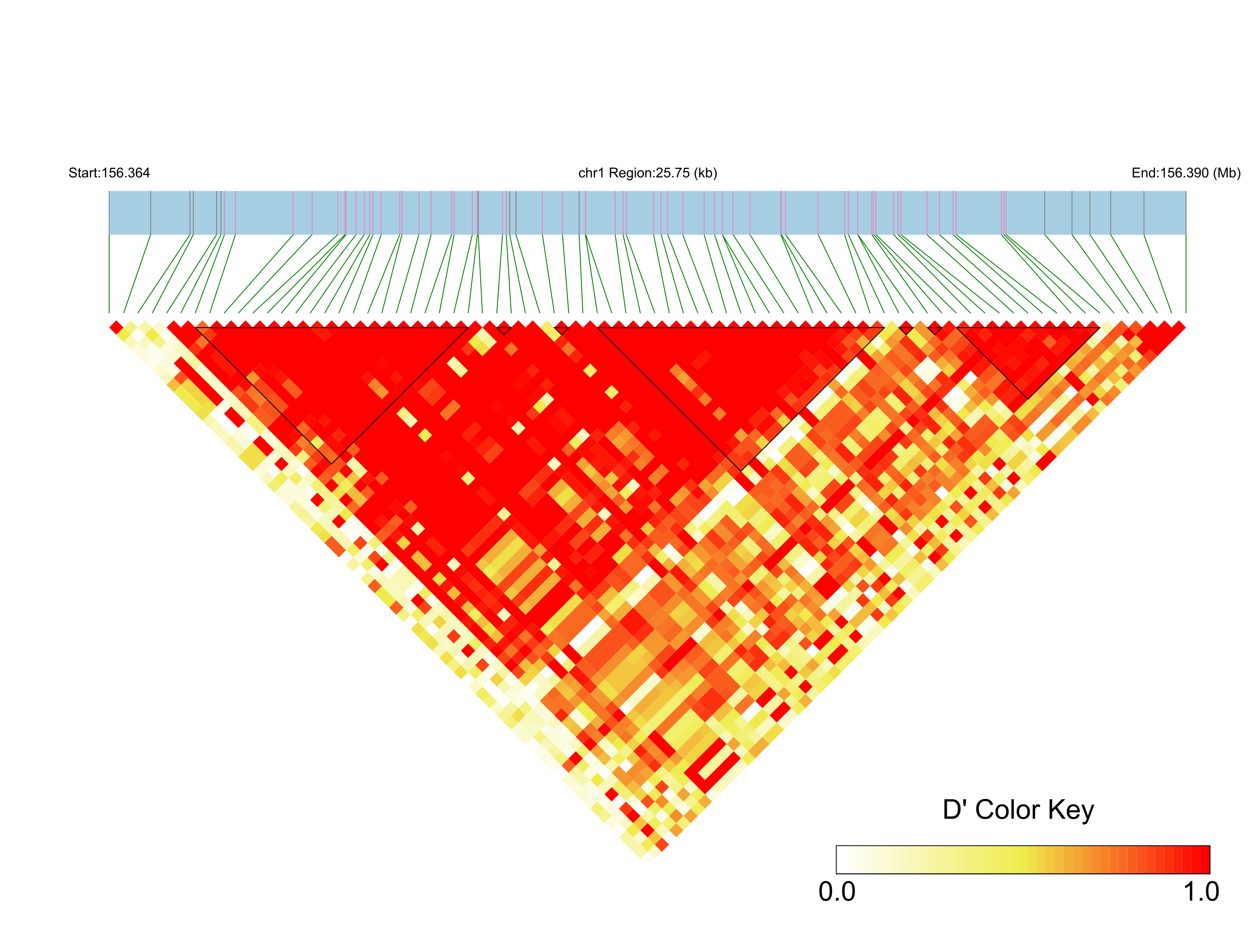 LD