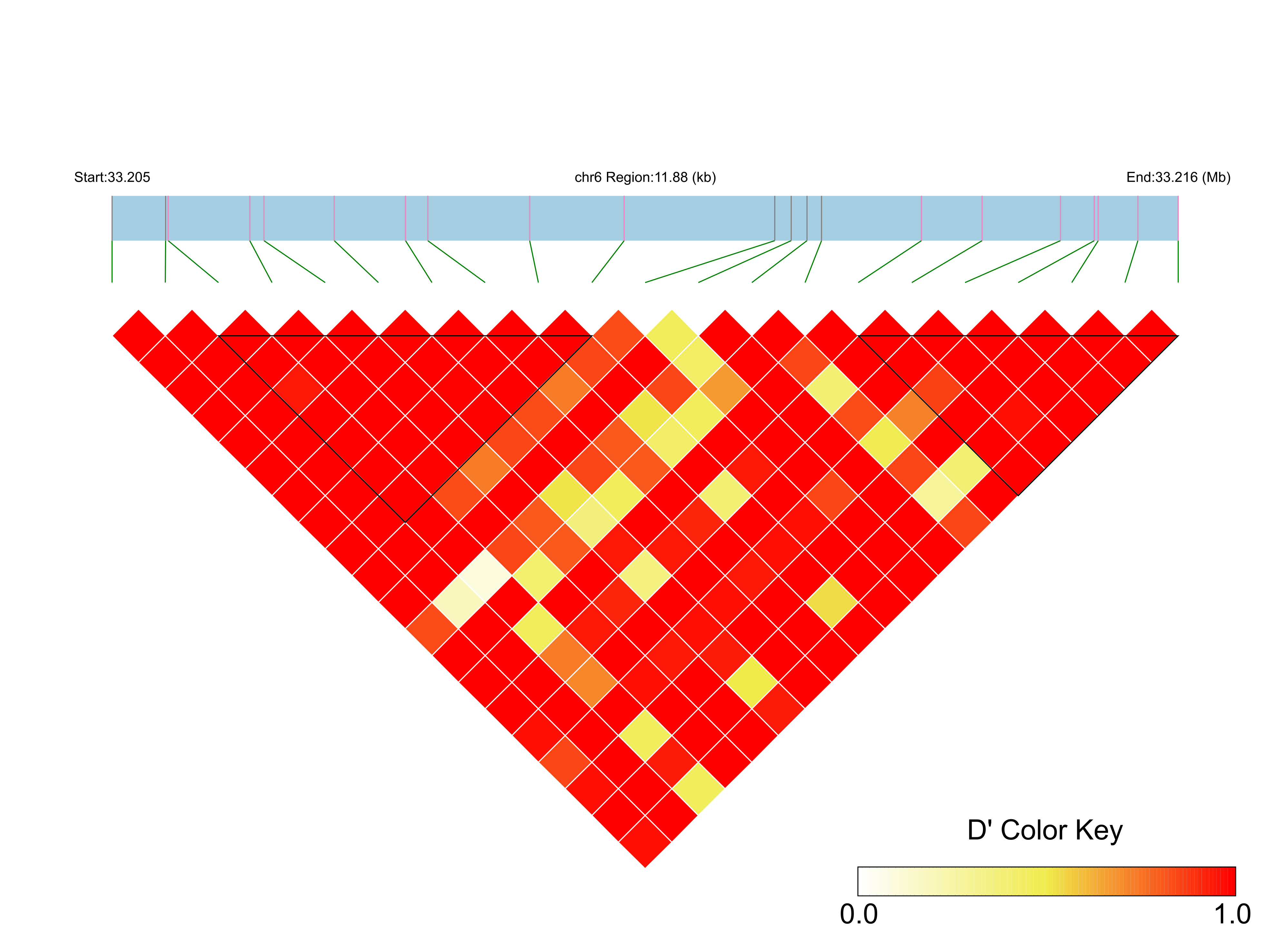 LD