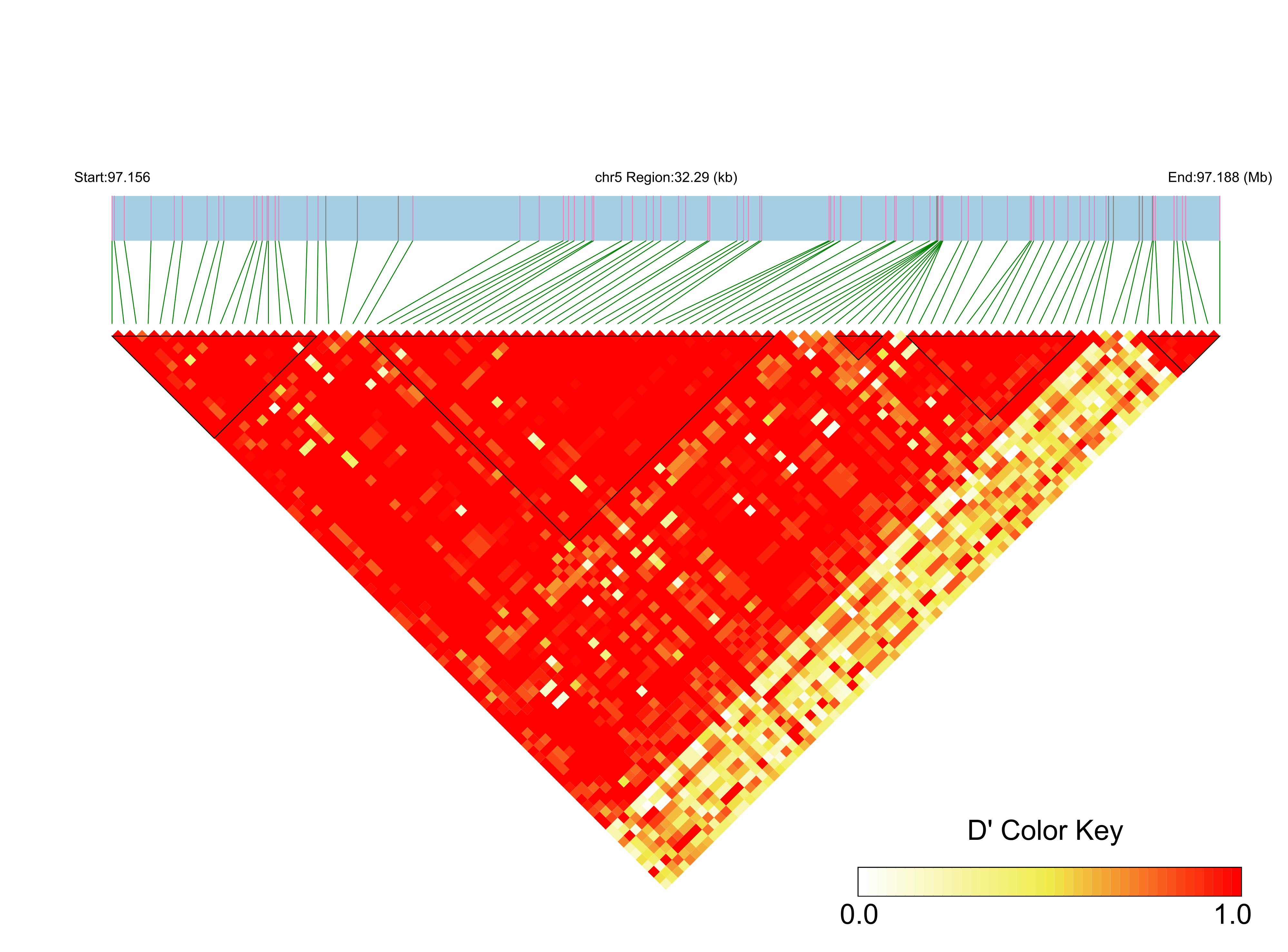 LD